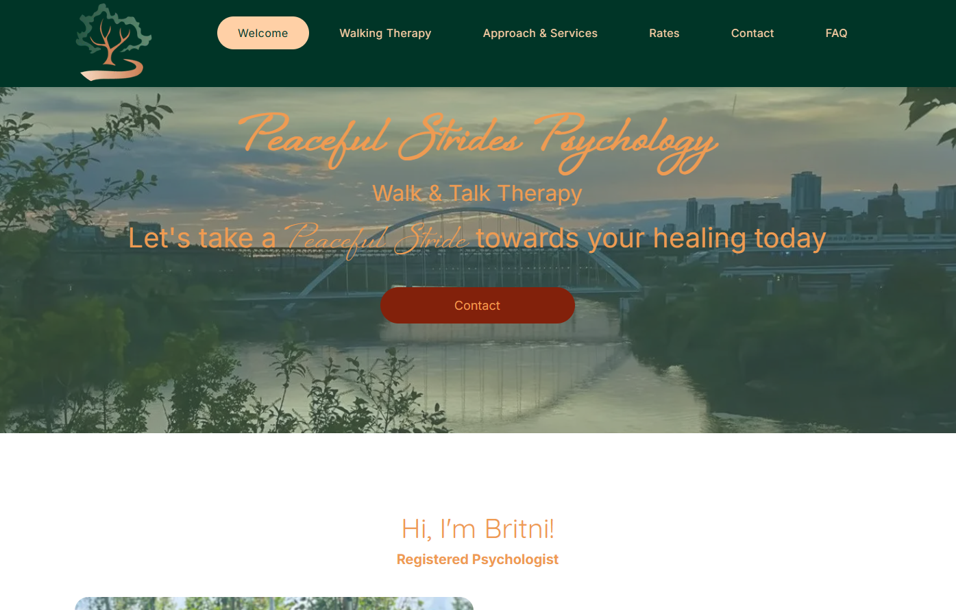 website opening page