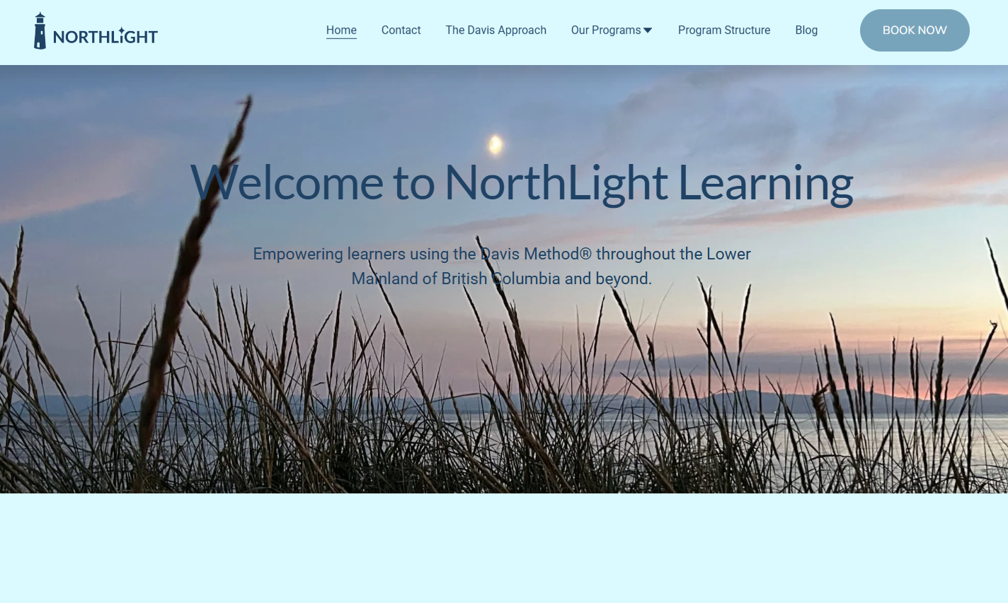 website home page banner