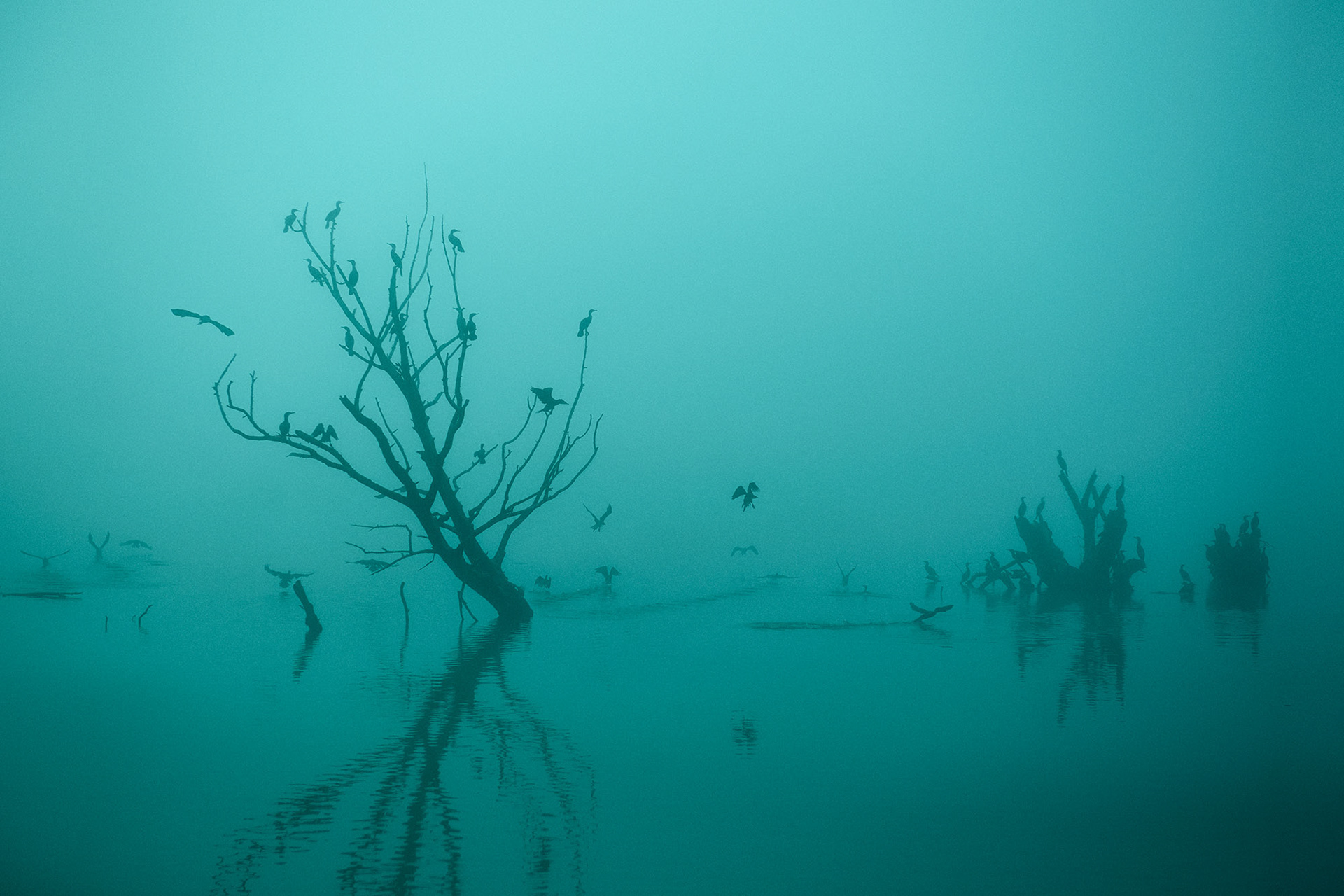 nick kontostavlakis photography greece