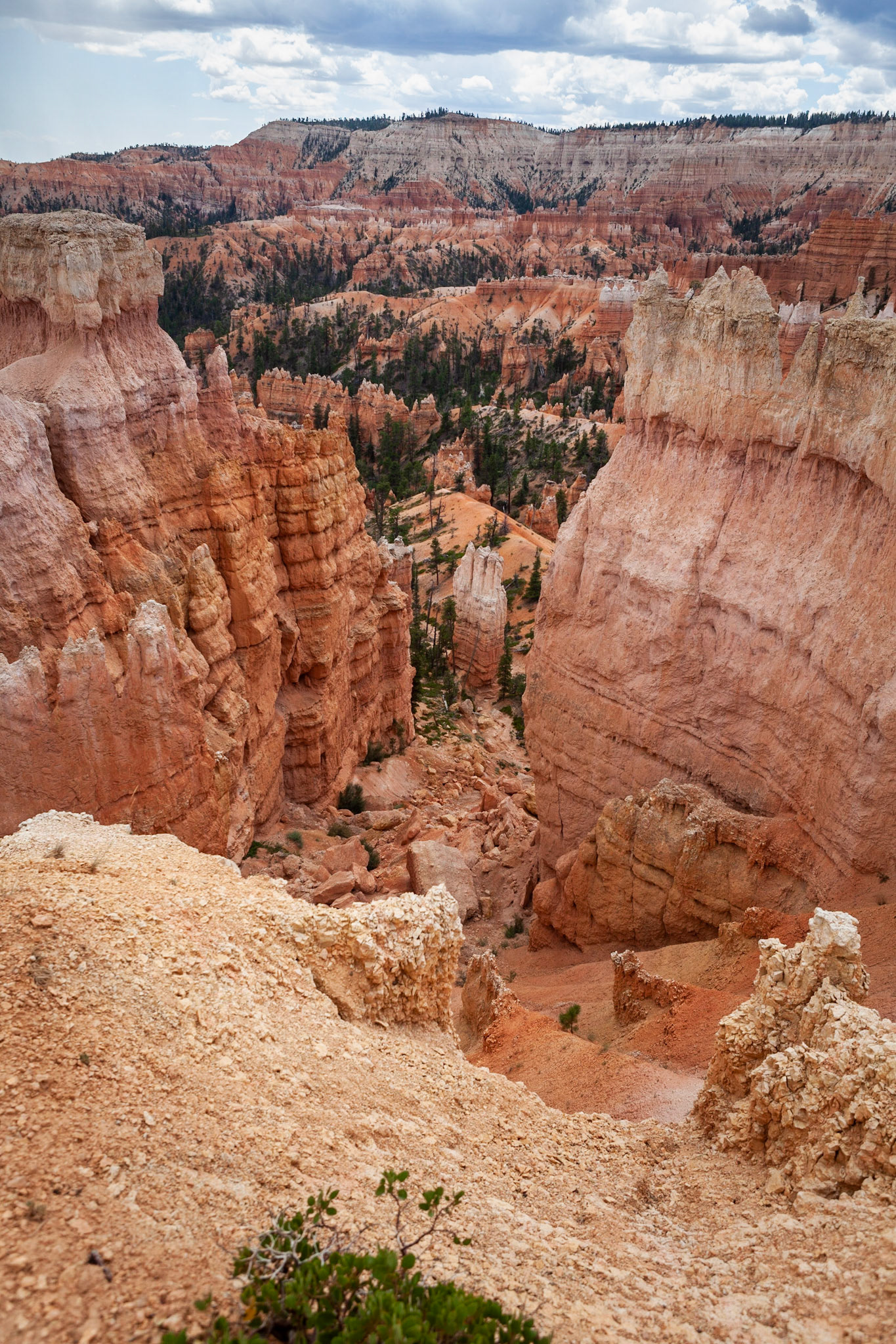 Queen's Garden Trail, Bryce Canyon, Utah