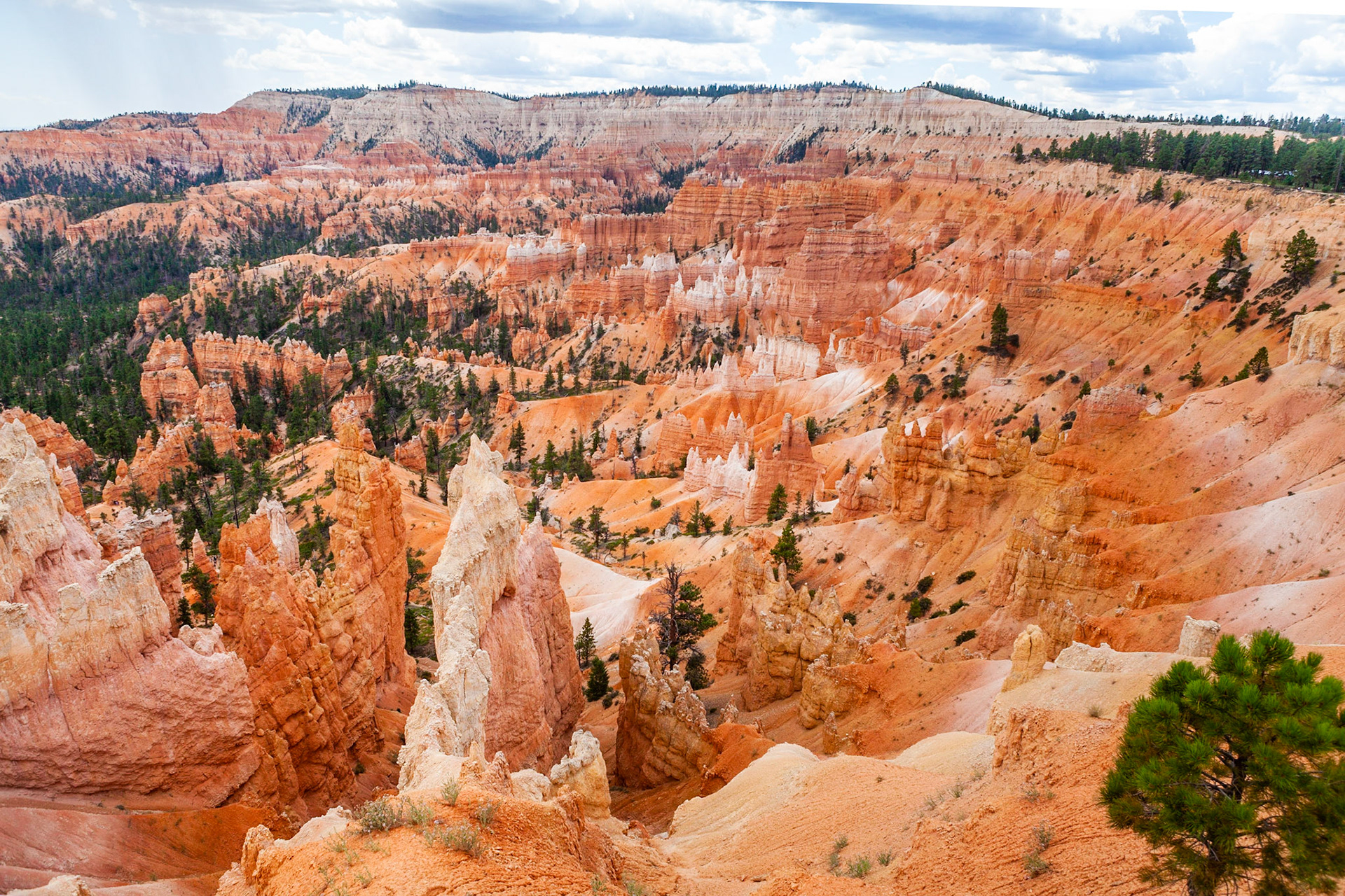 Sunrise Point, Bryce Canyon, Utah