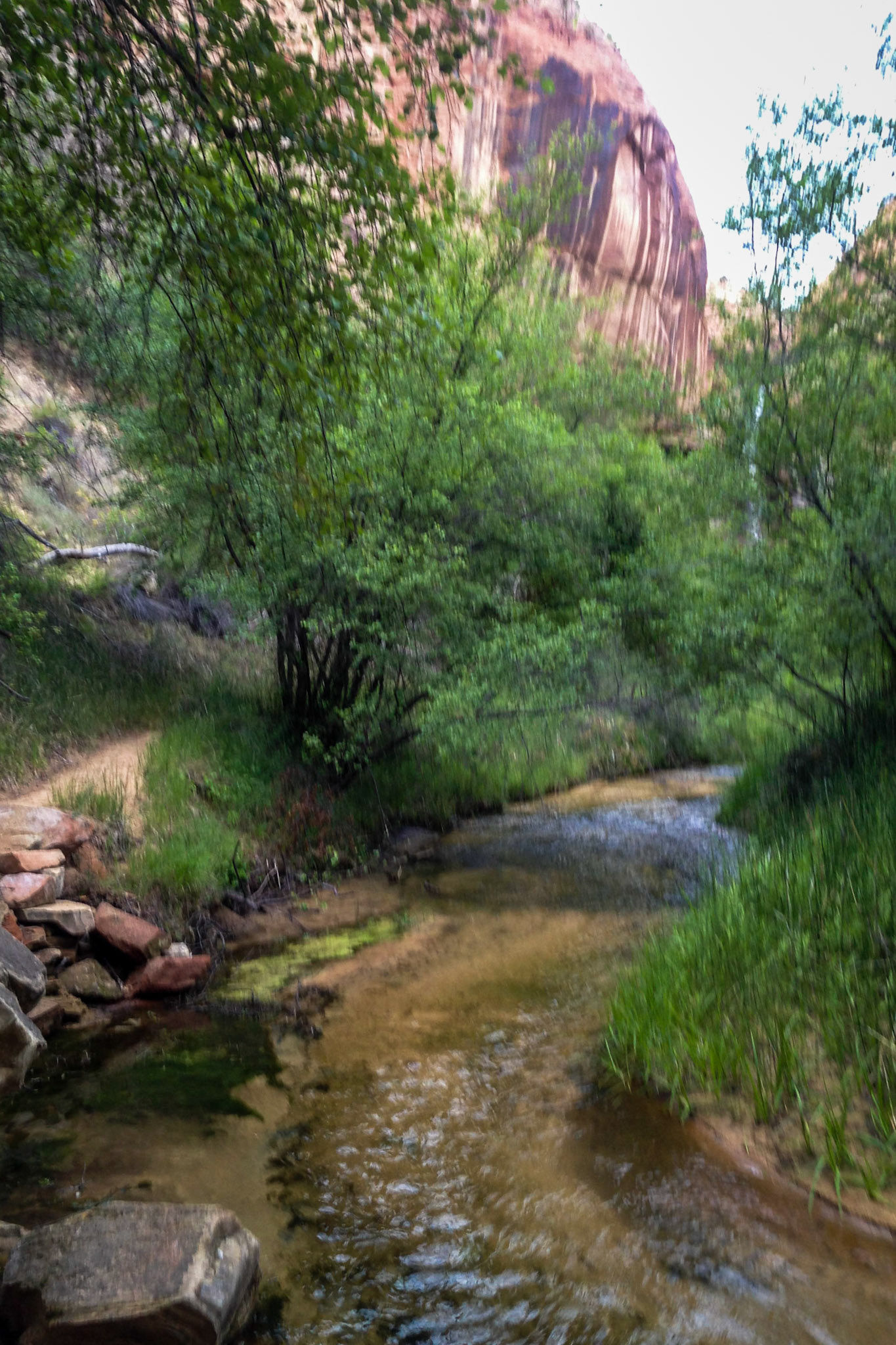 Lower Calf Creek Falls, Grand Staircase, Utah