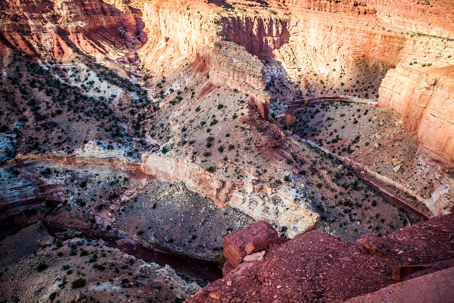 The Goosenecks, Capitol Reef National Park
