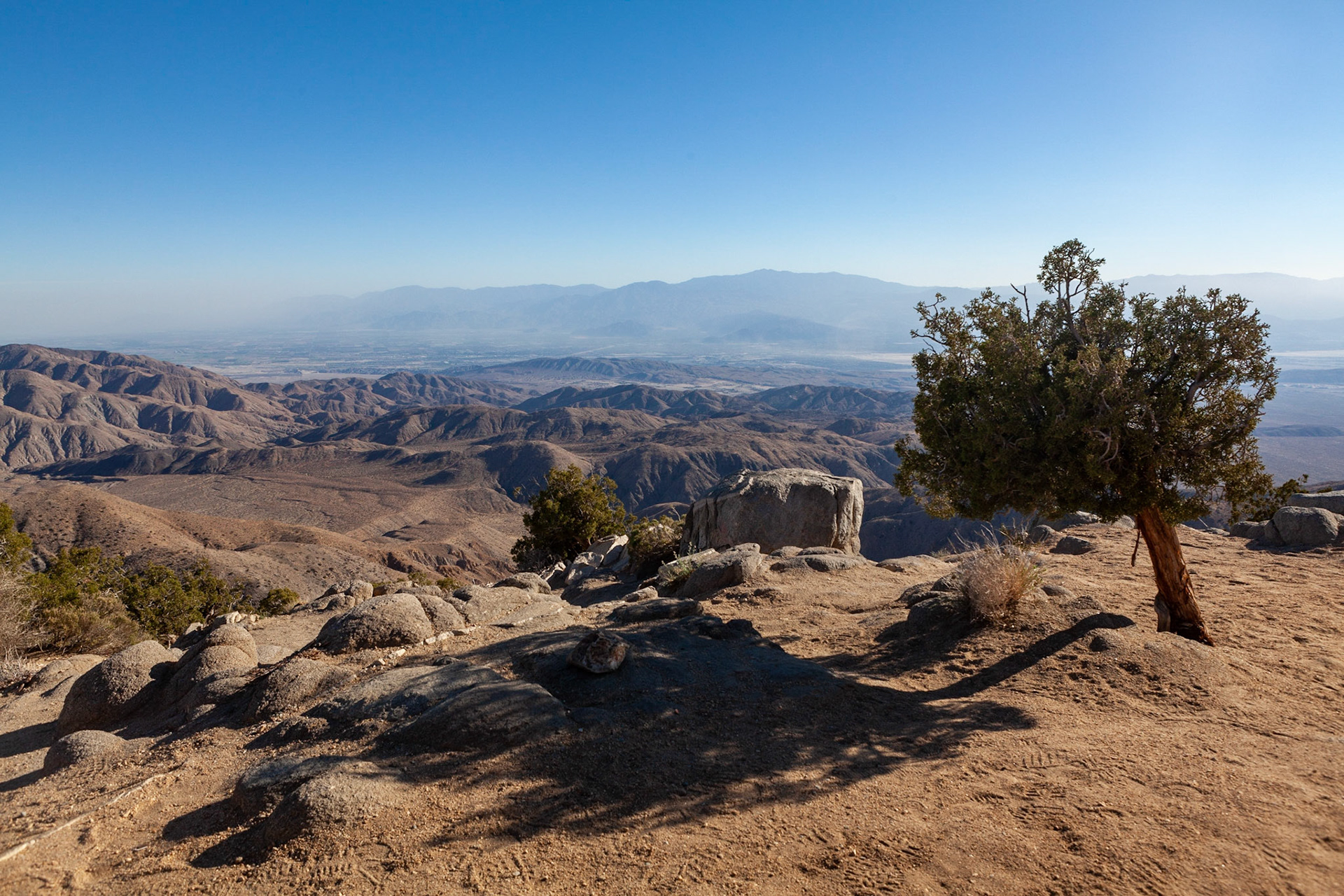 Keys View, Joshua Tree National Park. Photo by Ming Lo.
