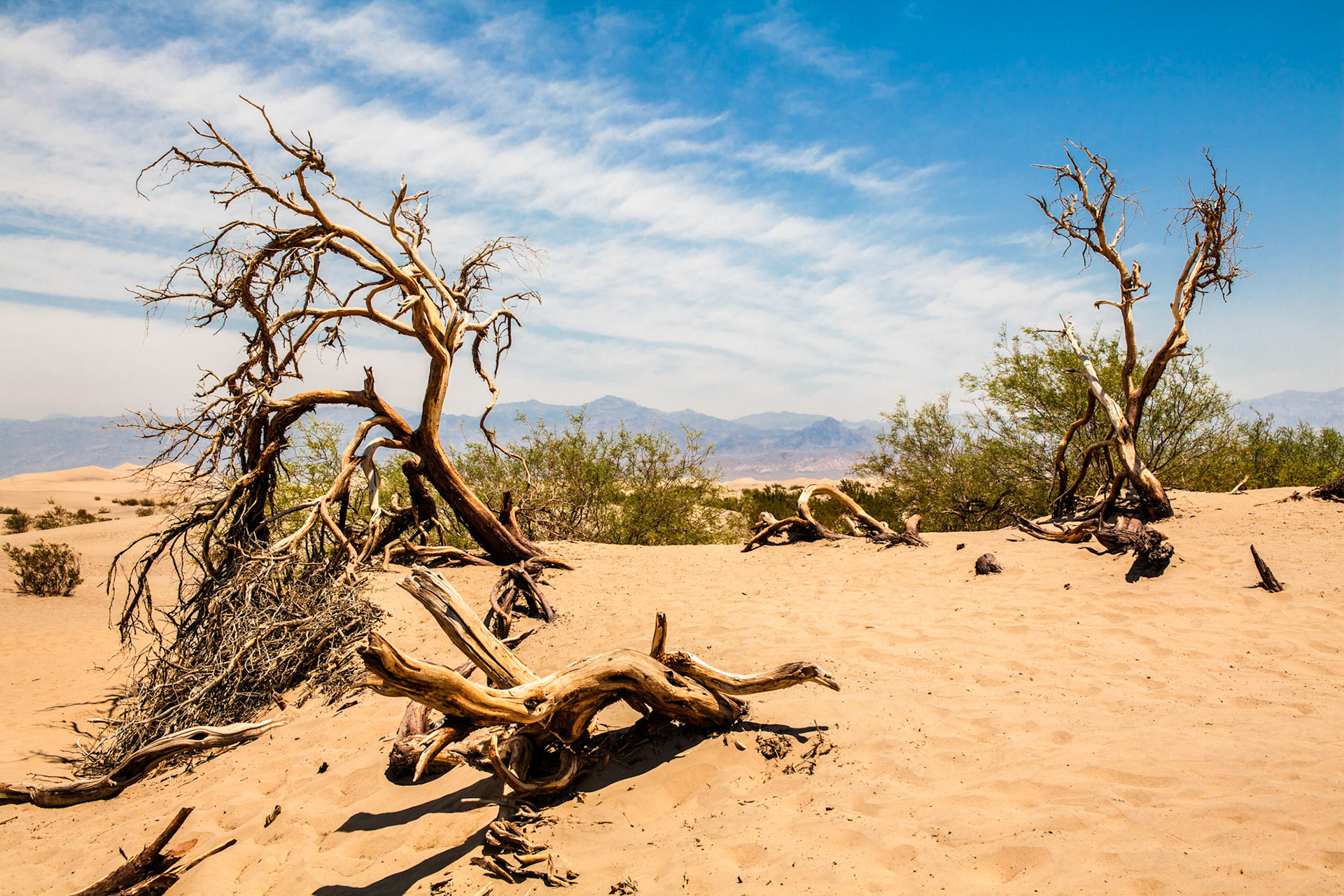 Mesquite Dunes
