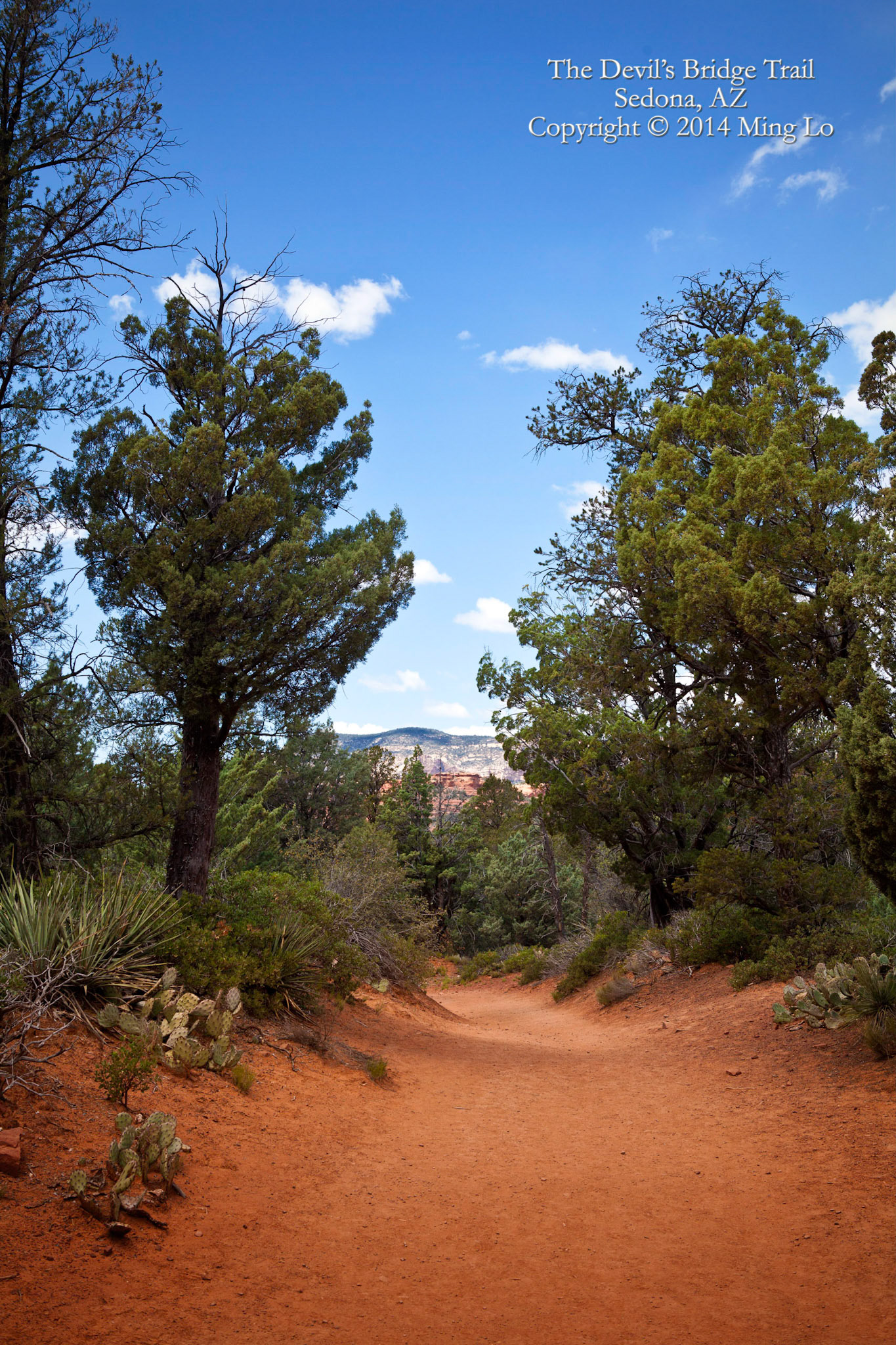 Devil's Bridge Trail, Sedona, AZ