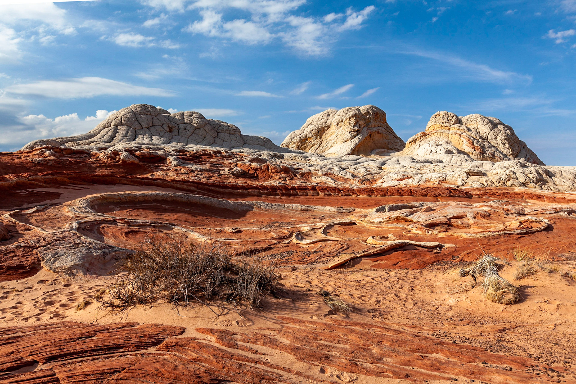 Vermillion Cliffs, AZ