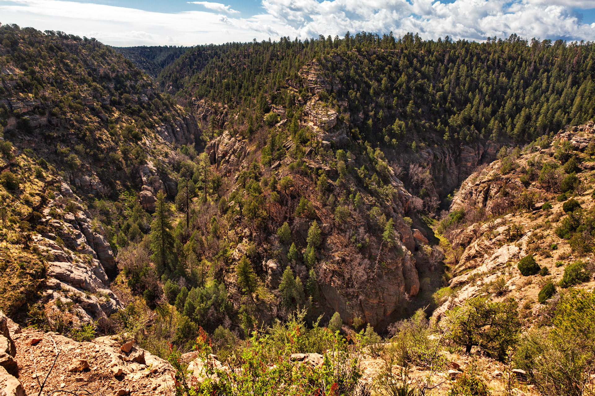 Walnut Canyon National Monument, AZ
