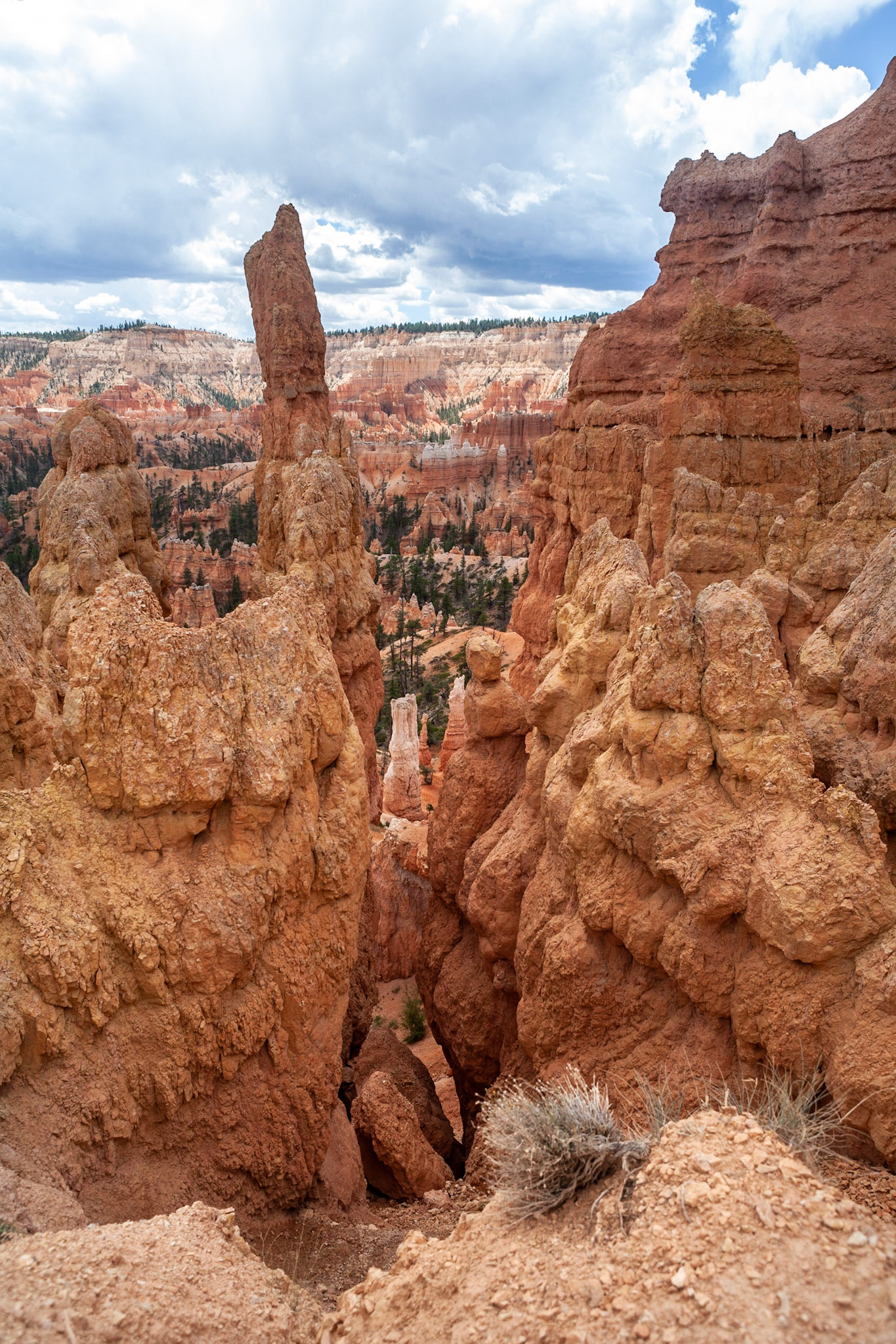 Queen's Garden Trail, Bryce Canyon, Utah