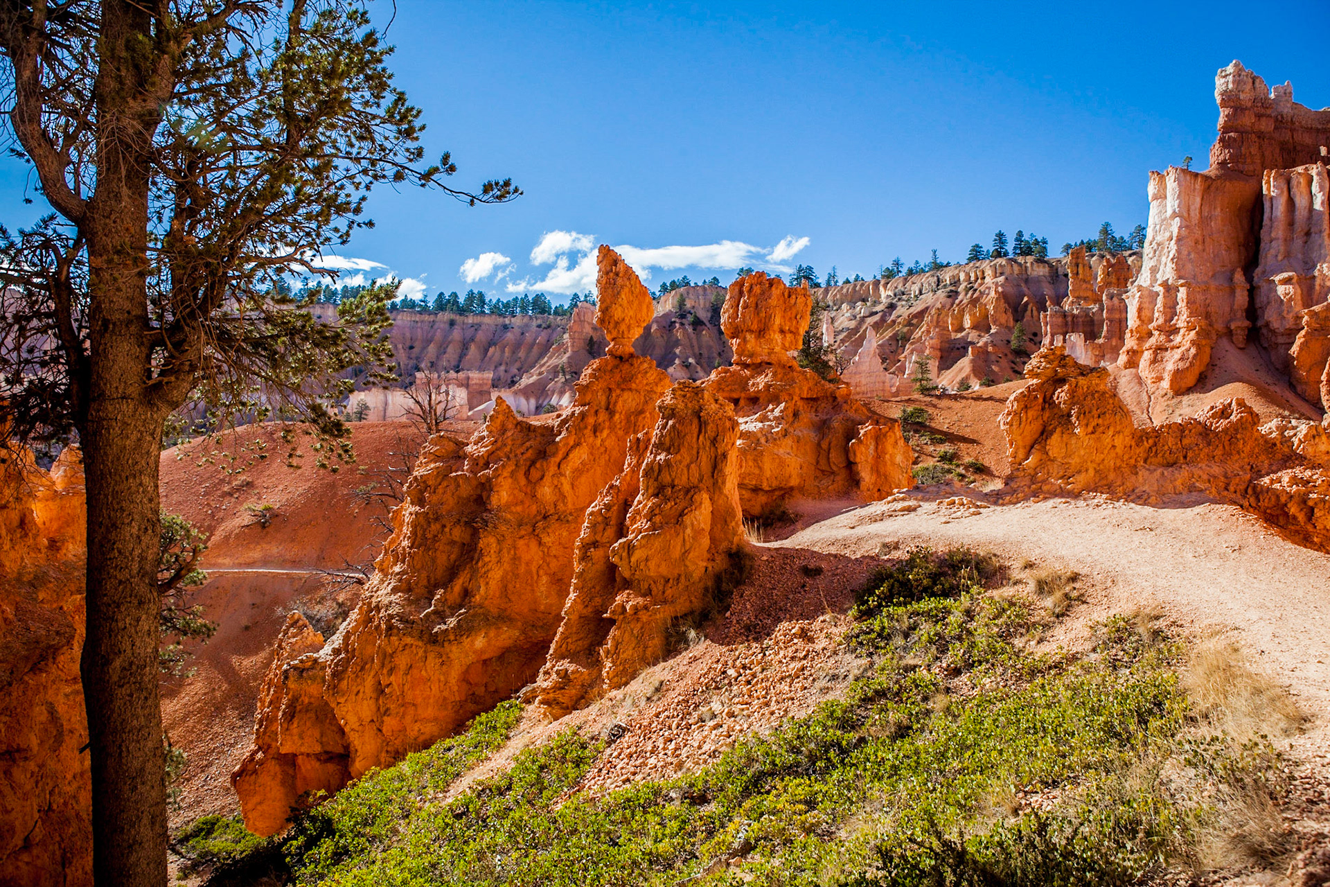 Bryce Canyon National Park, Utah