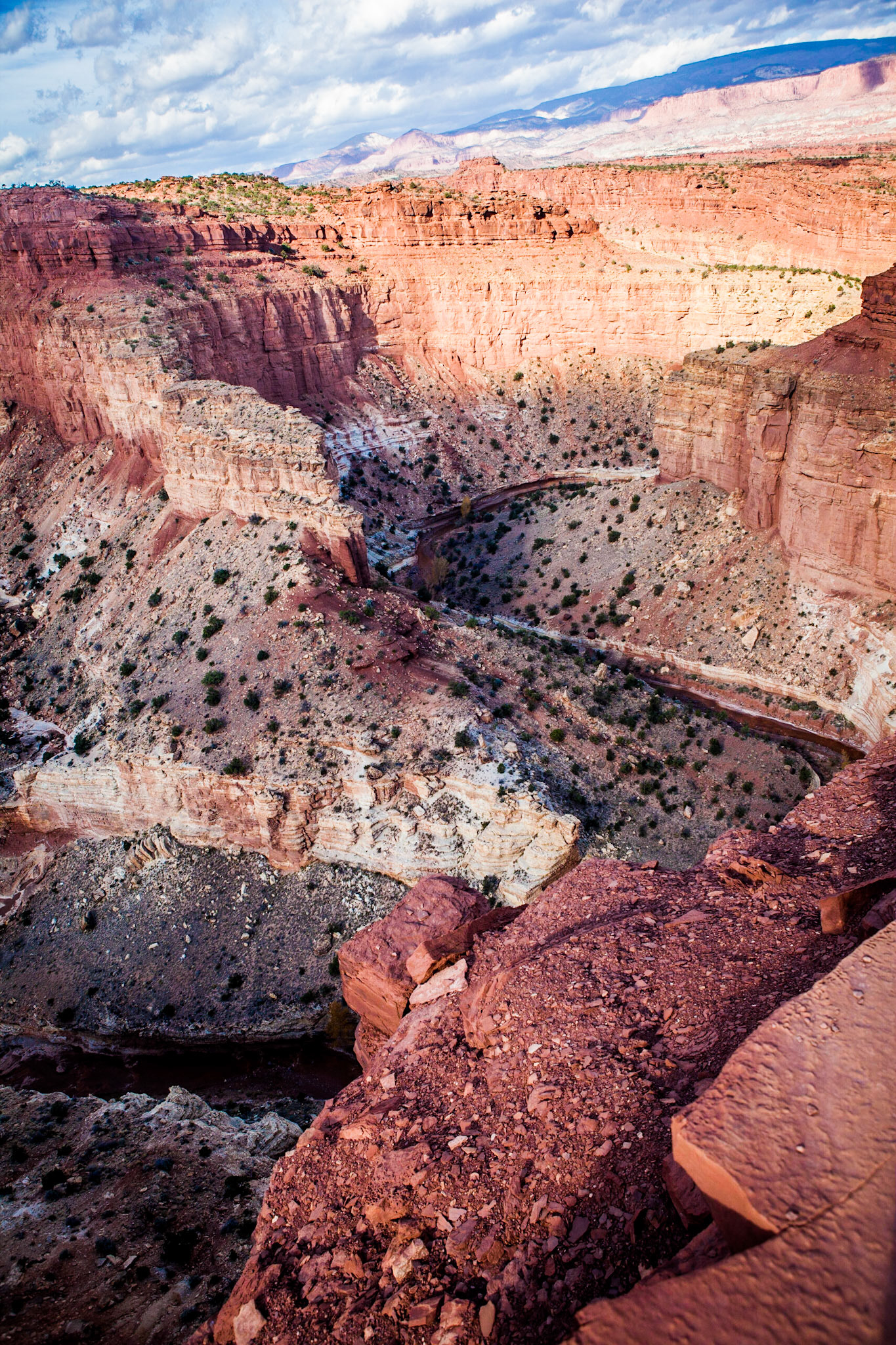 The Goosenecks, Capitol Reef National Park