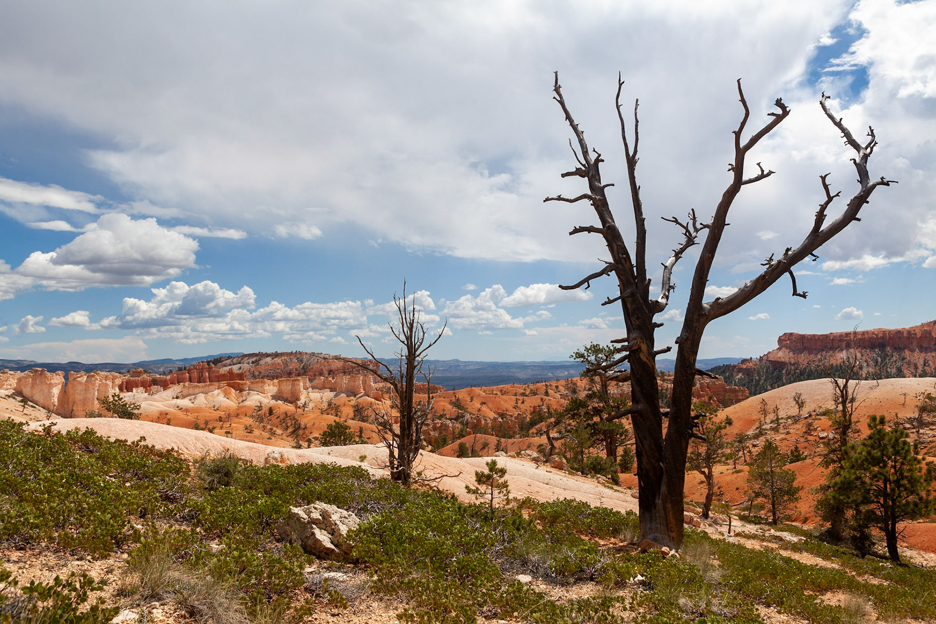 Queen's Garden Trail, Bryce Canyon, Utah
