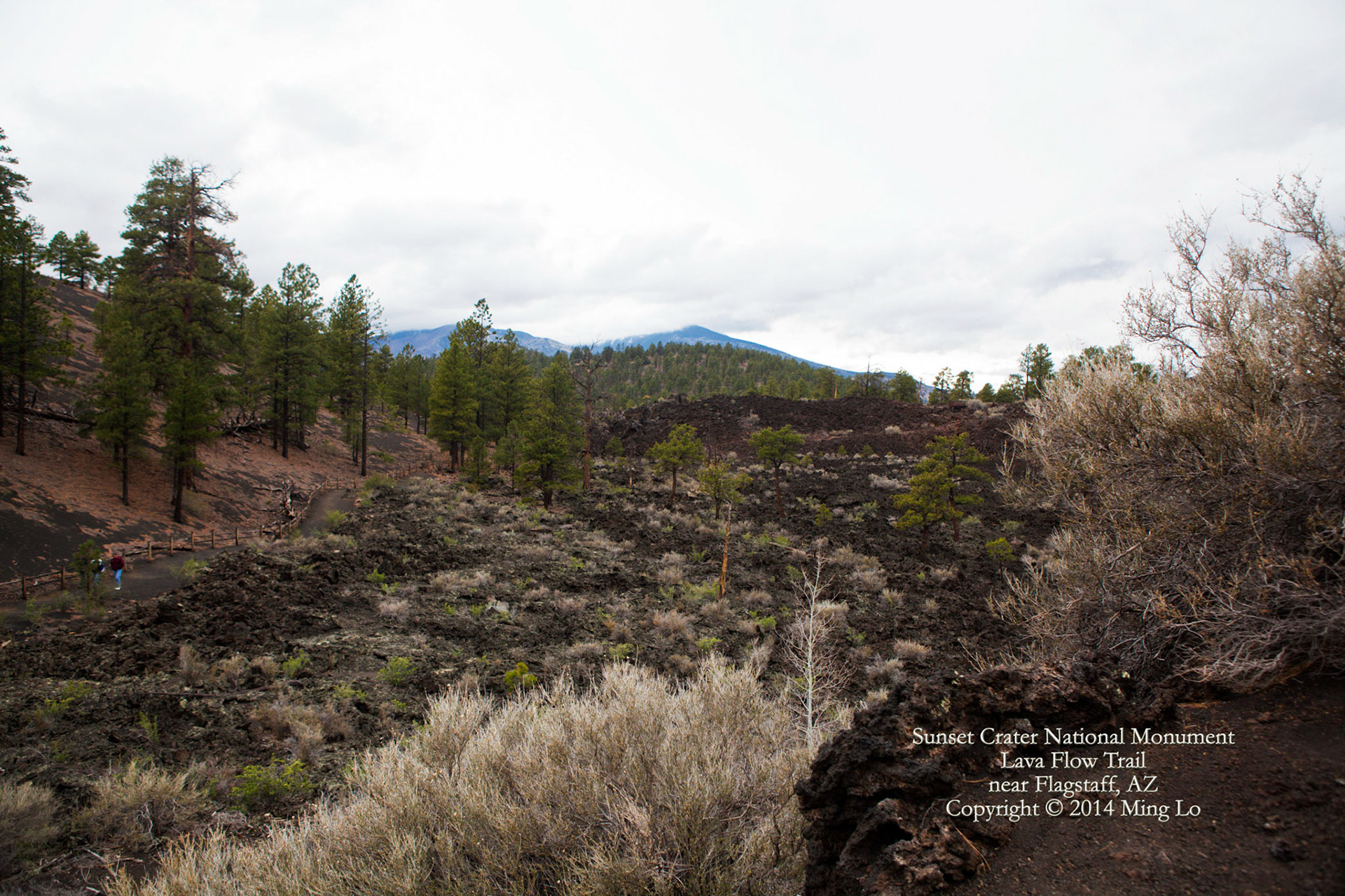 Sunset Crater National Monument, AZ