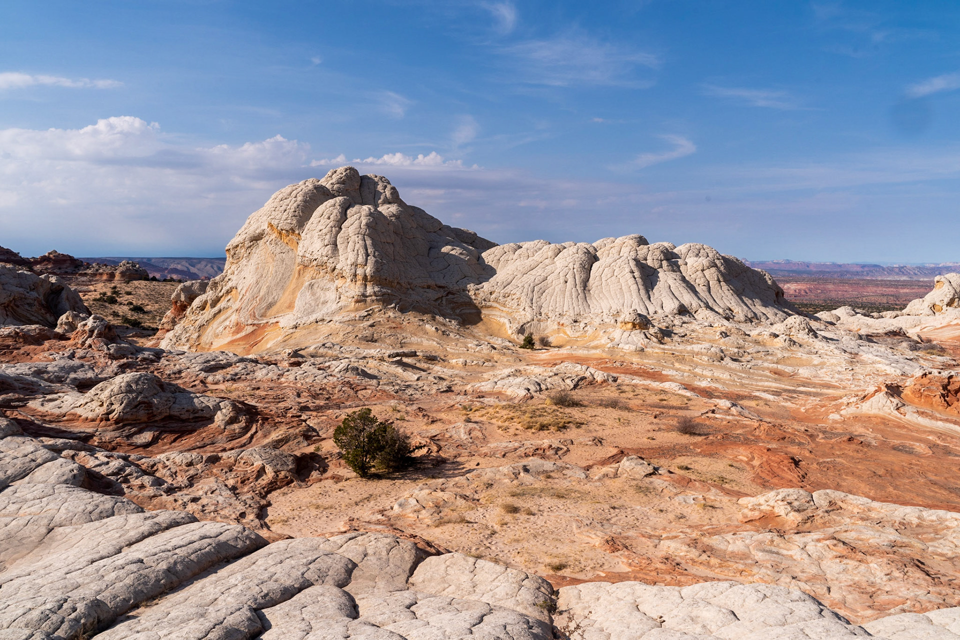 Vermillion Cliffs, AZ