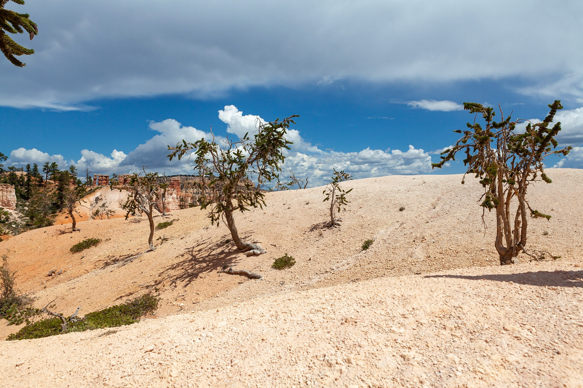 Queen's Garden Trail, Bryce Canyon, Utah