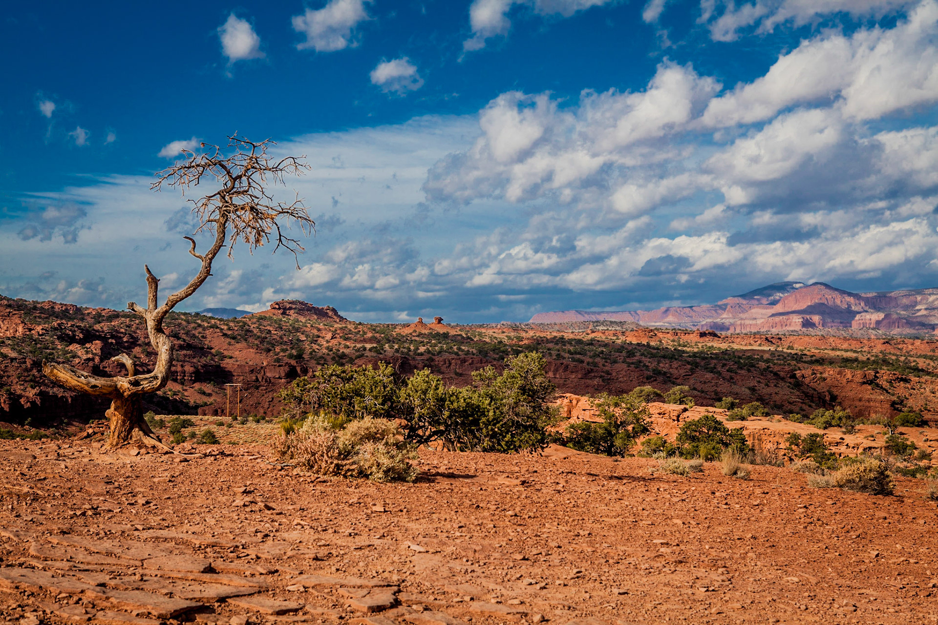 Capitol Reef National Park