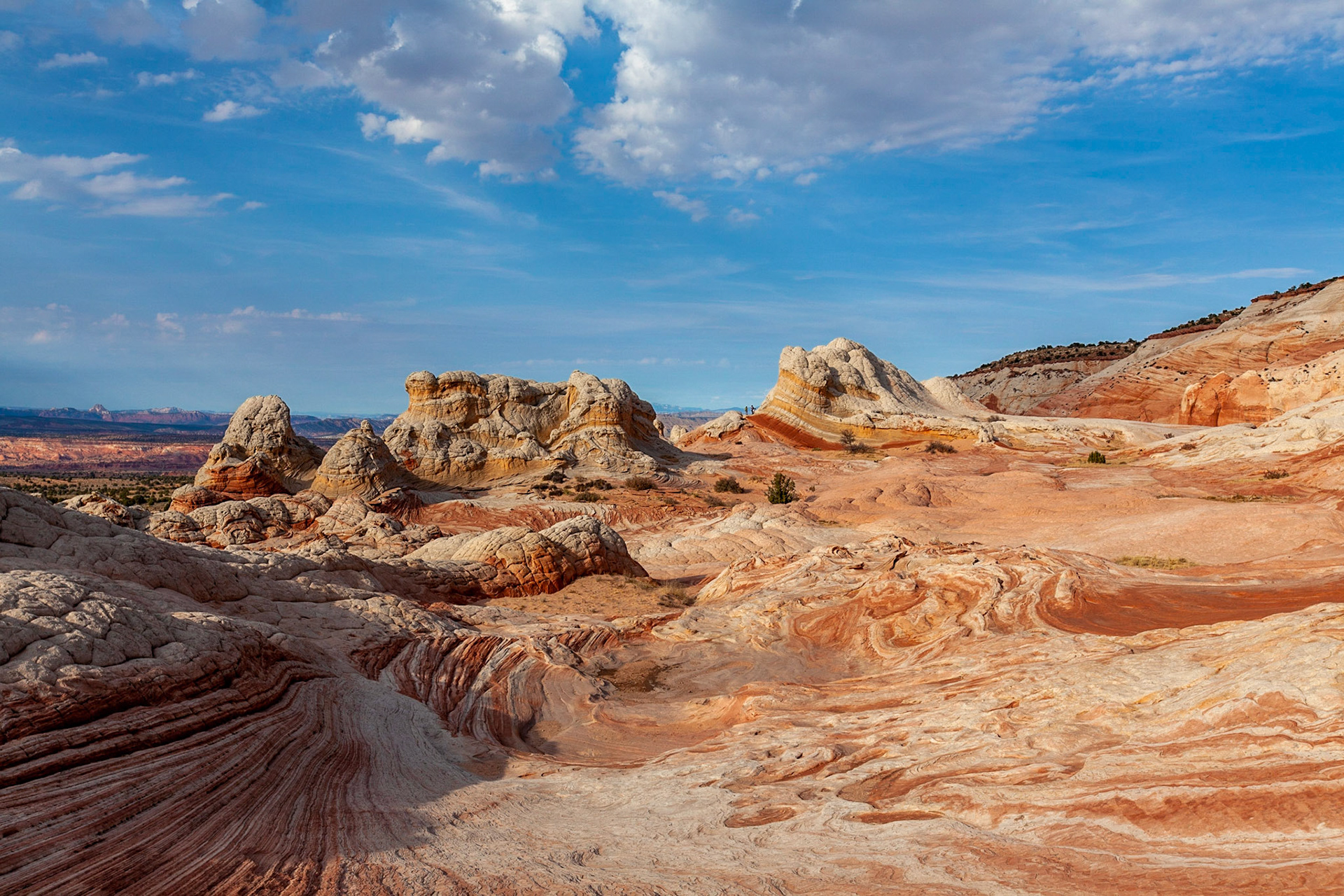 Vermillion Cliffs, AZ