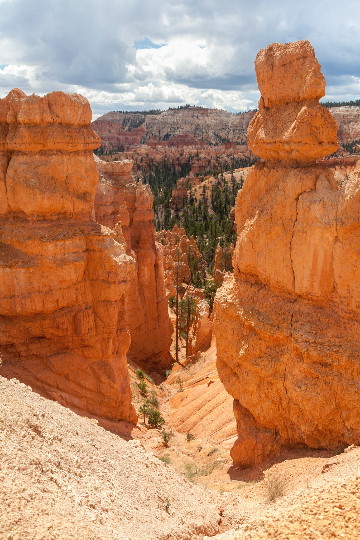 Queen's Garden Trail, Bryce Canyon, Utah