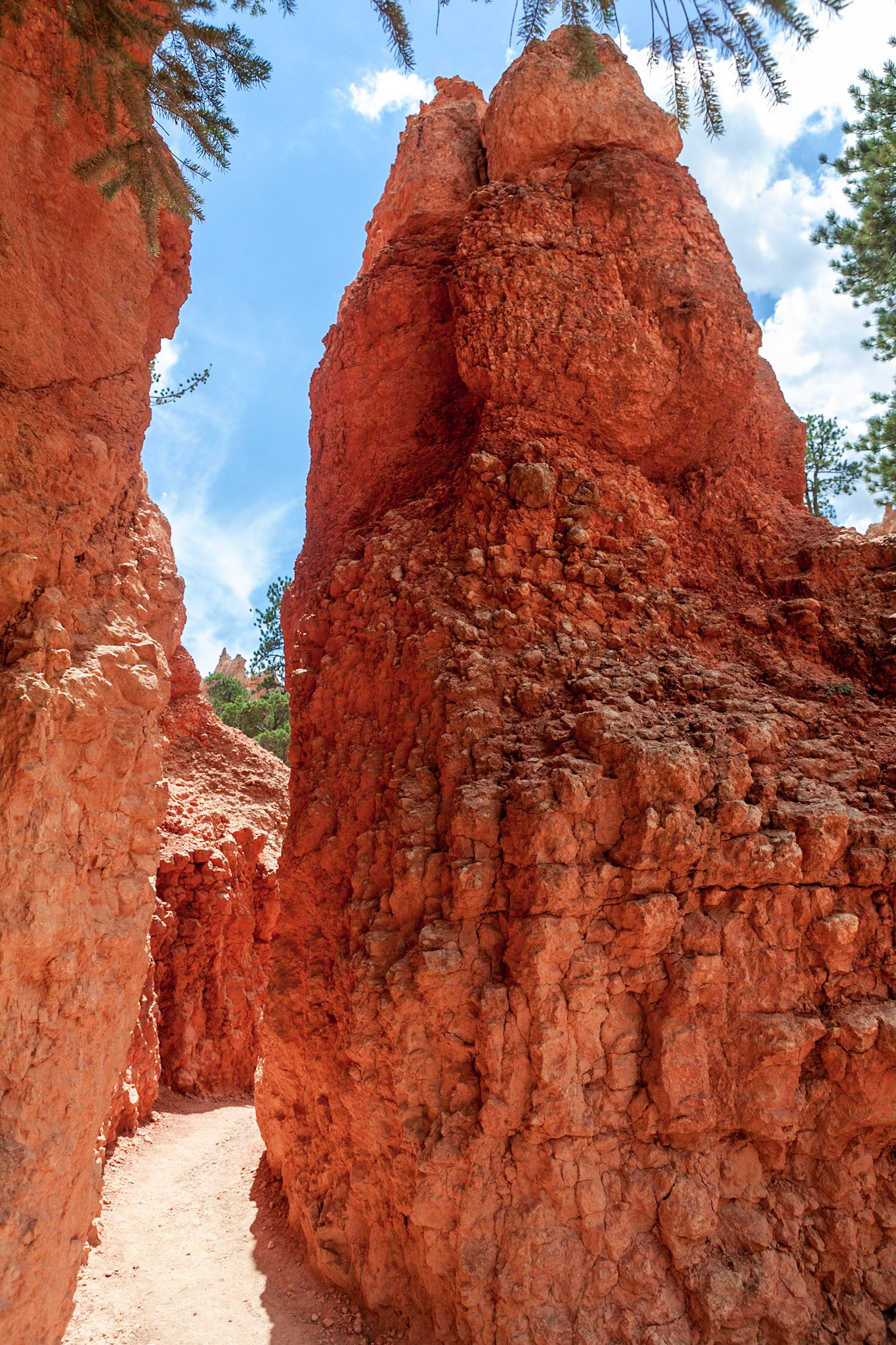 Queen's Garden Trail, Bryce Canyon, Utah