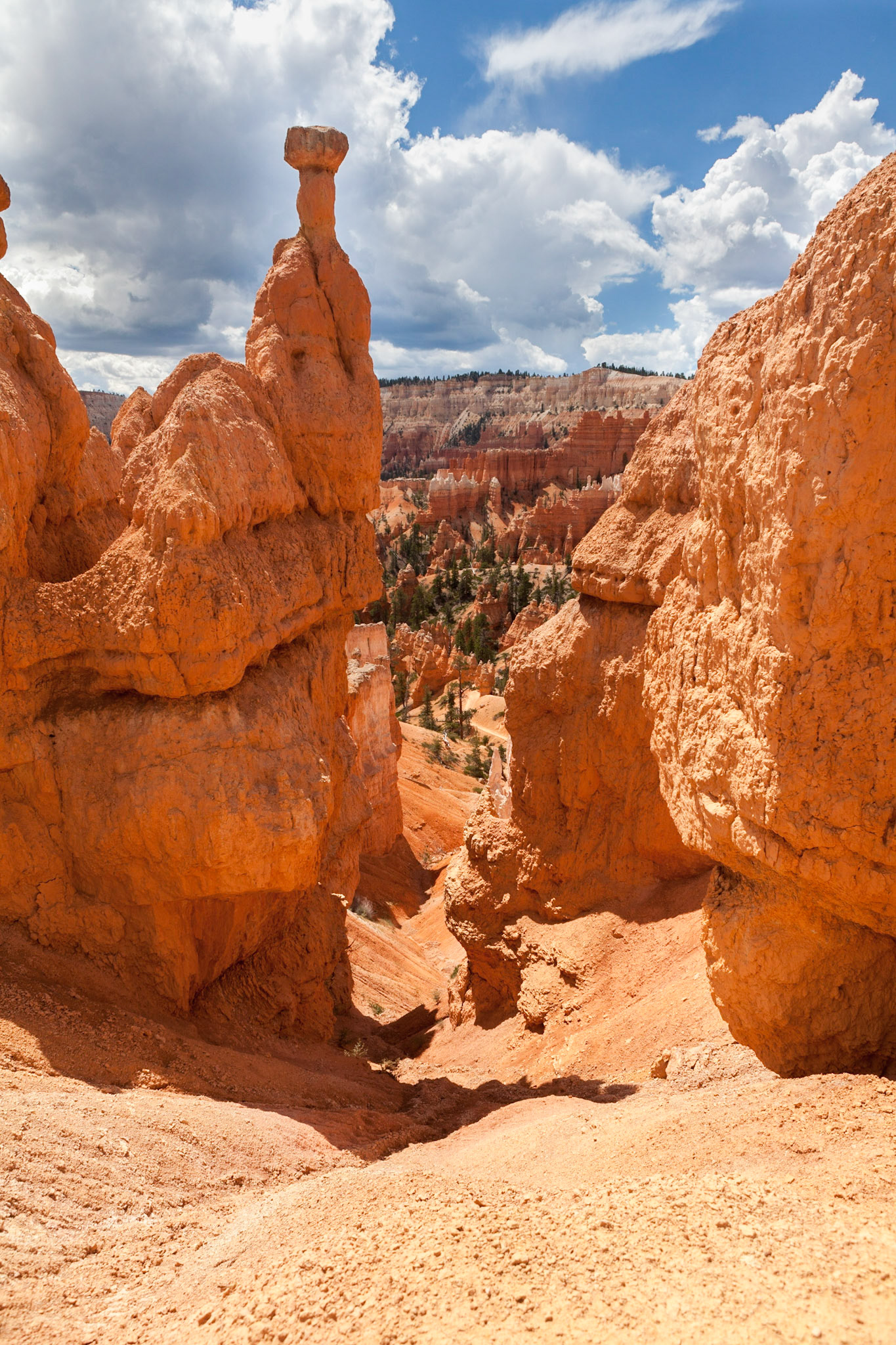 Queen's Garden Trail, Bryce Canyon, Utah