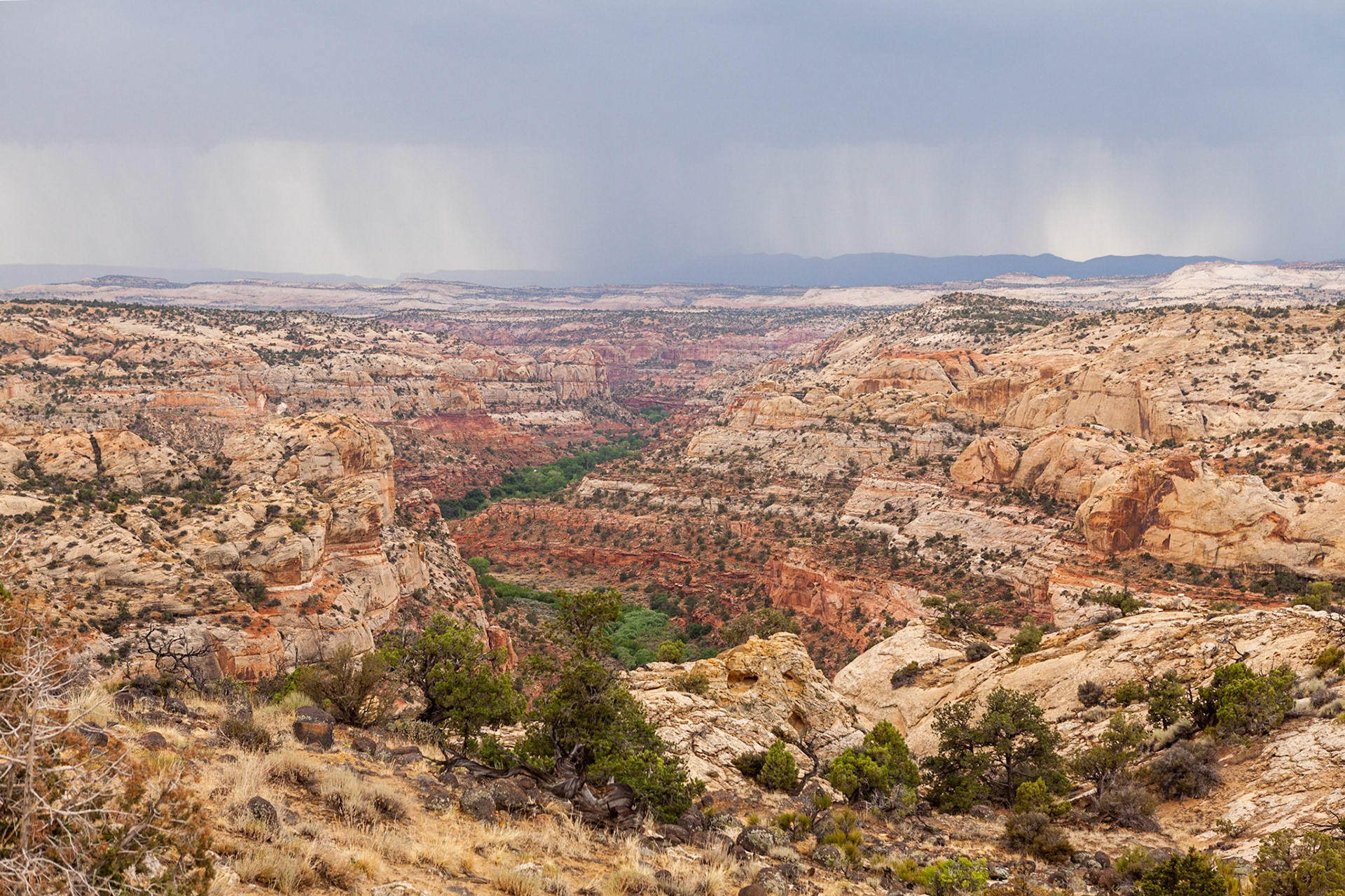 Scenic Byway 12, Utah.  © 2913 Ming Lo.