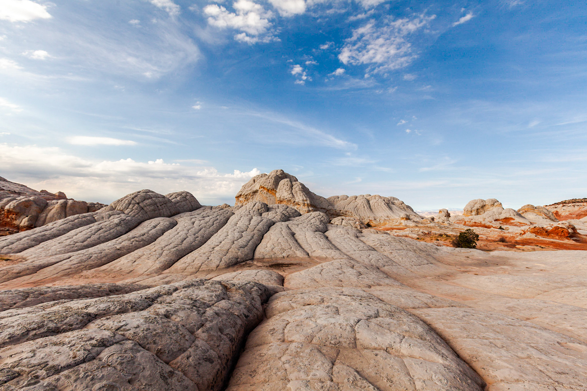Vermillion Cliffs, AZ