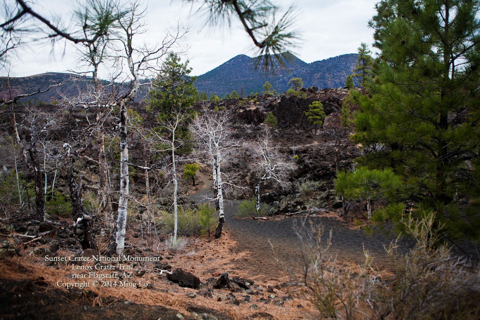 Sunset Crater National Monument, AZ