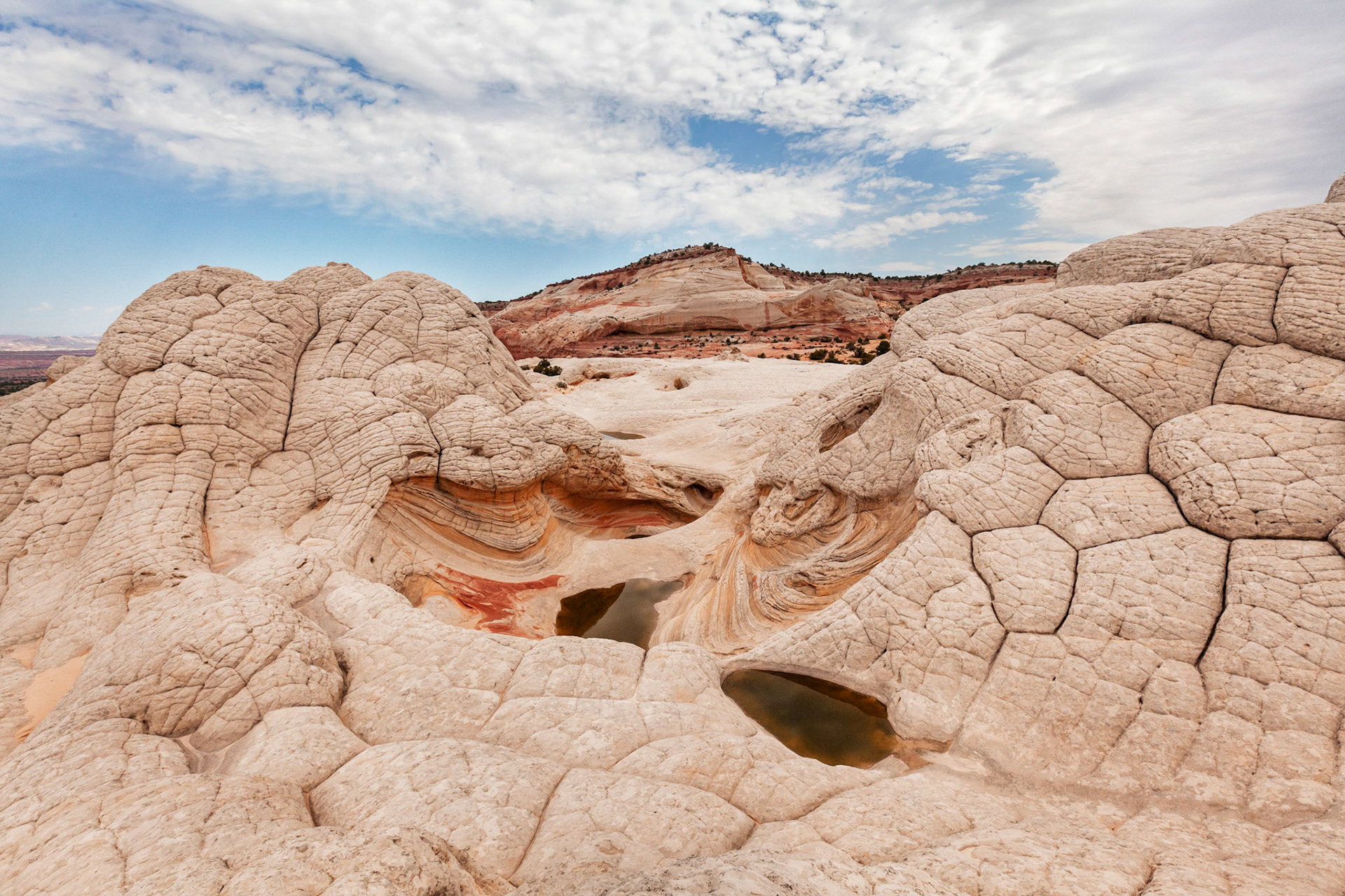 Vermillion Cliffs, AZ