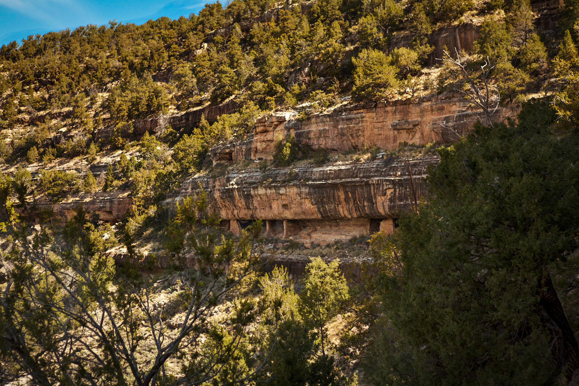 Walnut Canyon National Monument, AZ