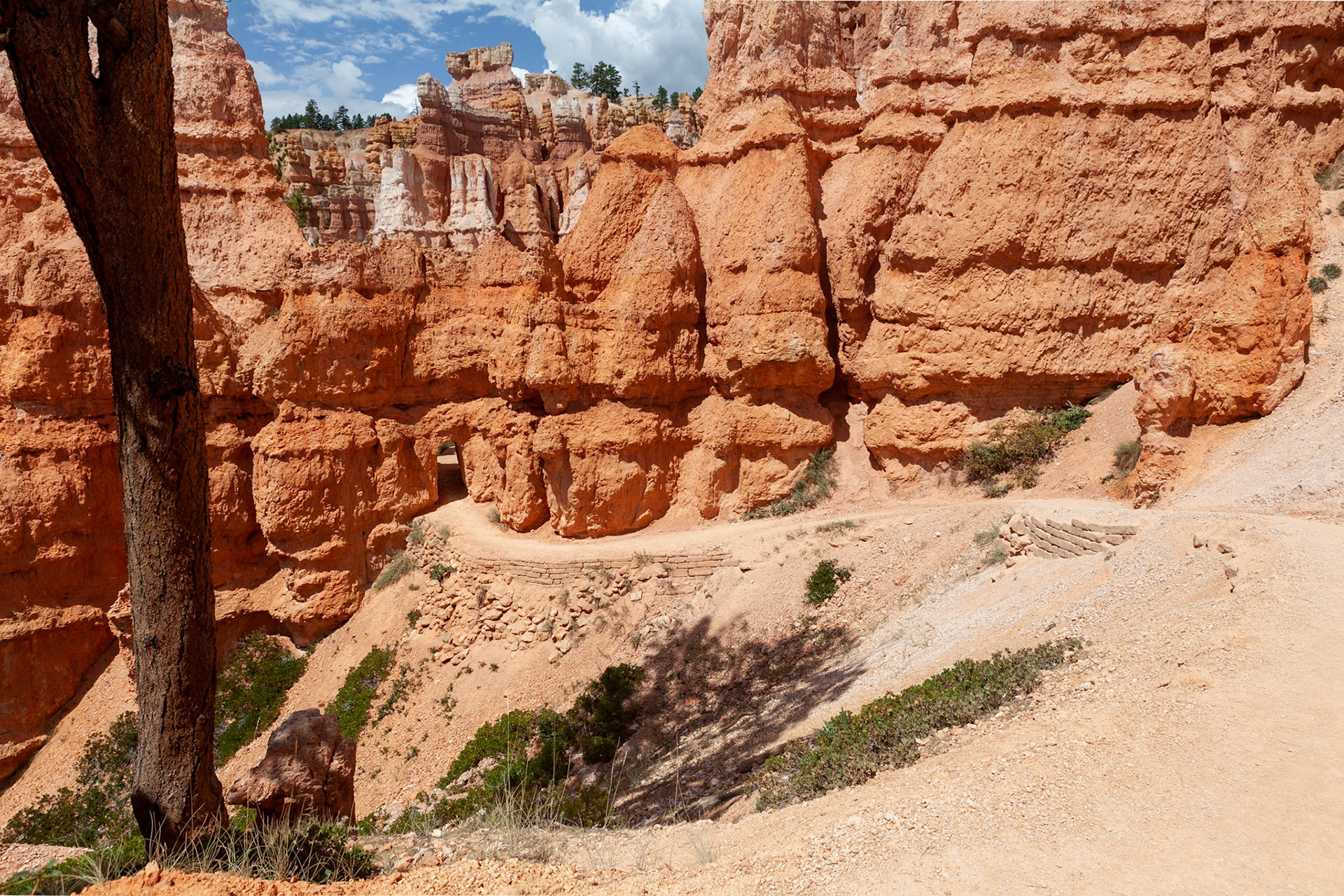 Queen's Garden Trail, Bryce Canyon, Utah