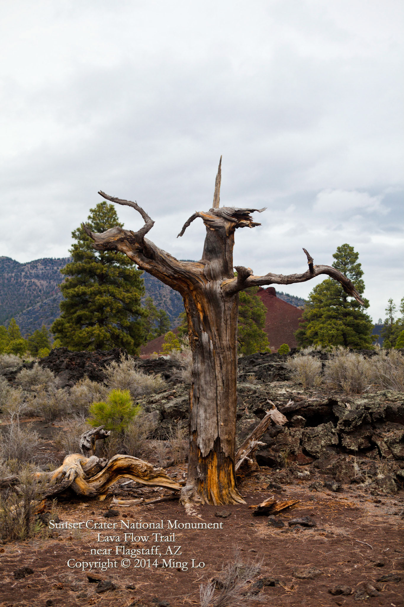 Sunset Crater National Monument, AZ