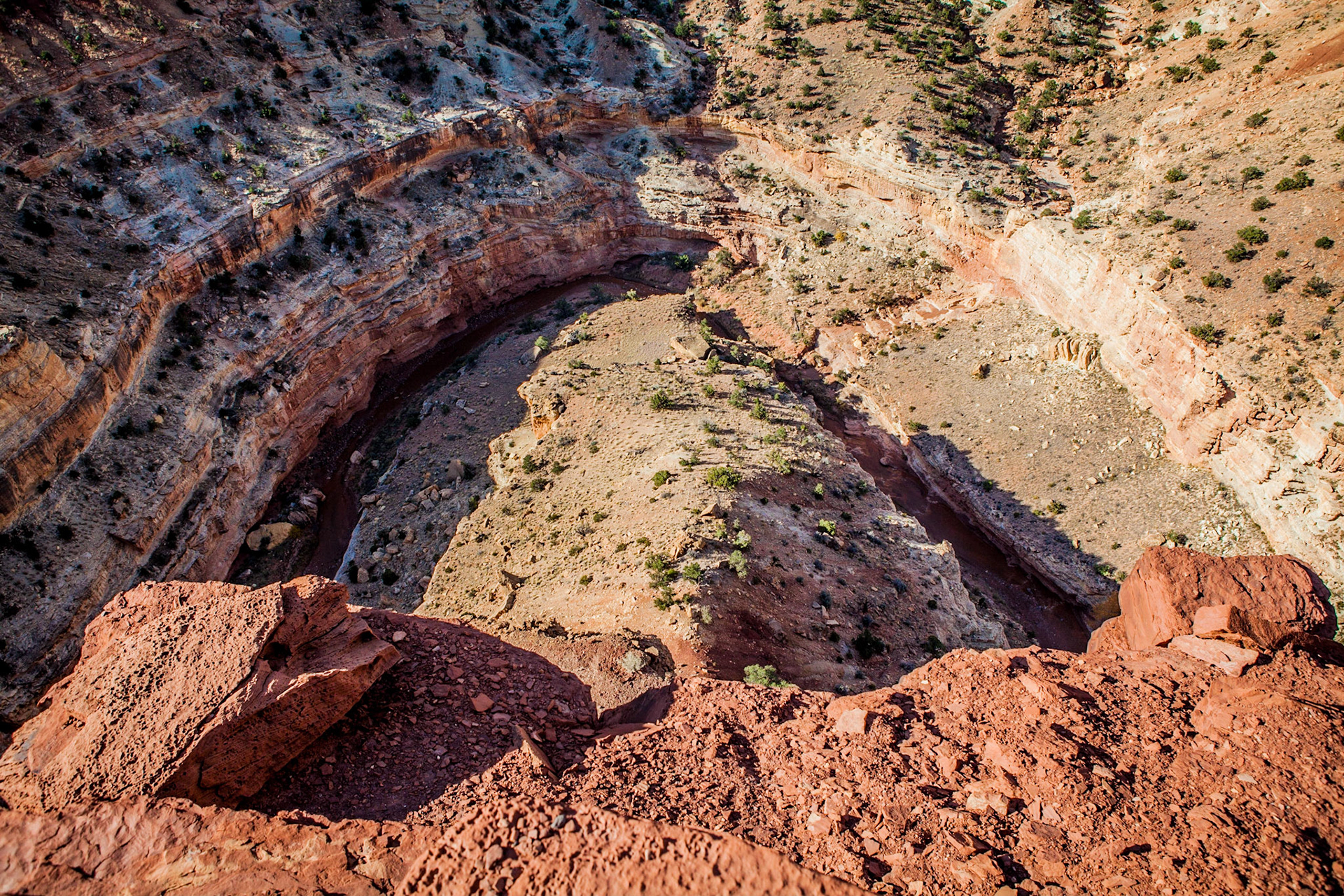 The Goosenecks, Capitol Reef National Park