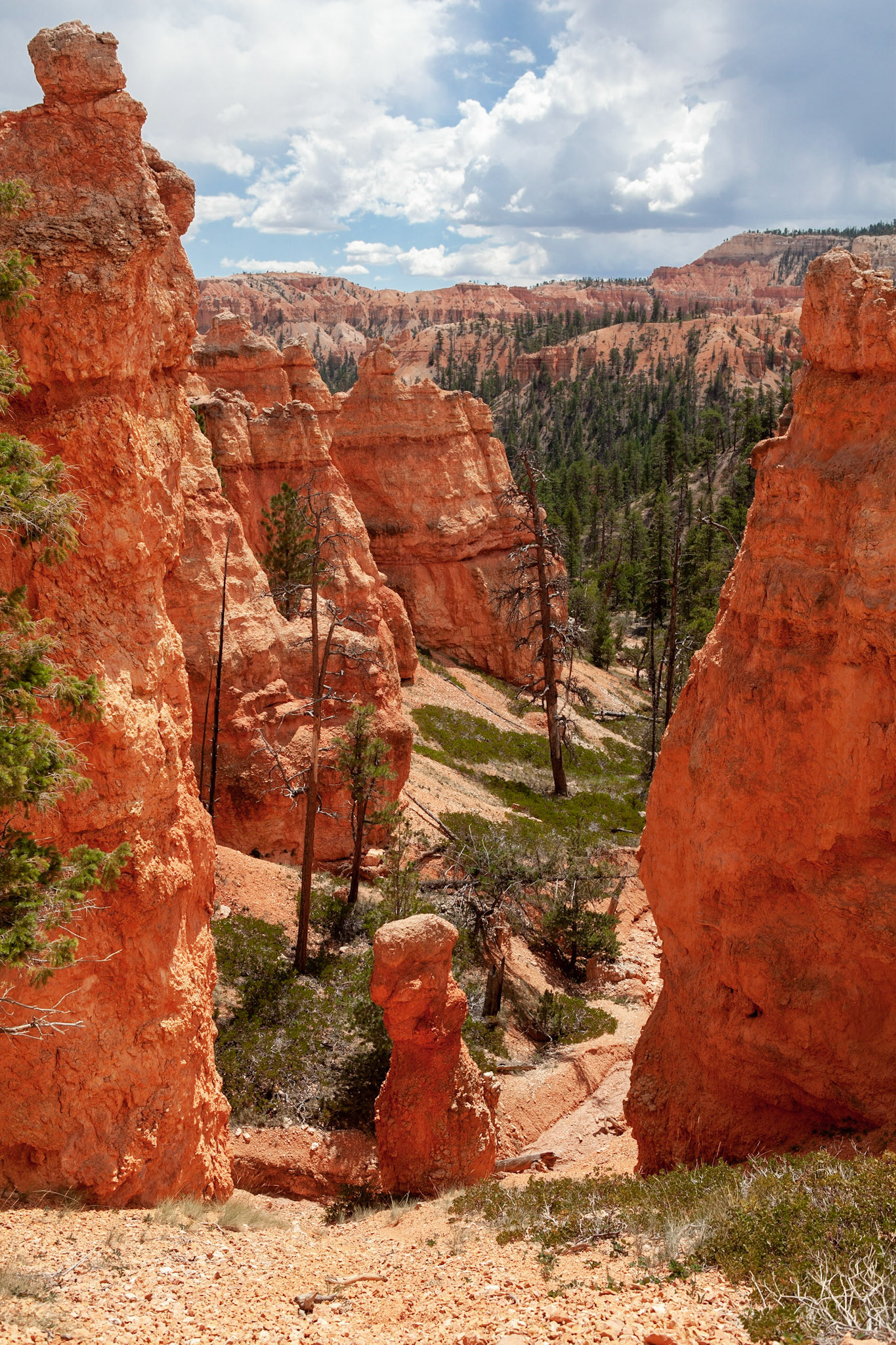 Queen's Garden Trail, Bryce Canyon, Utah