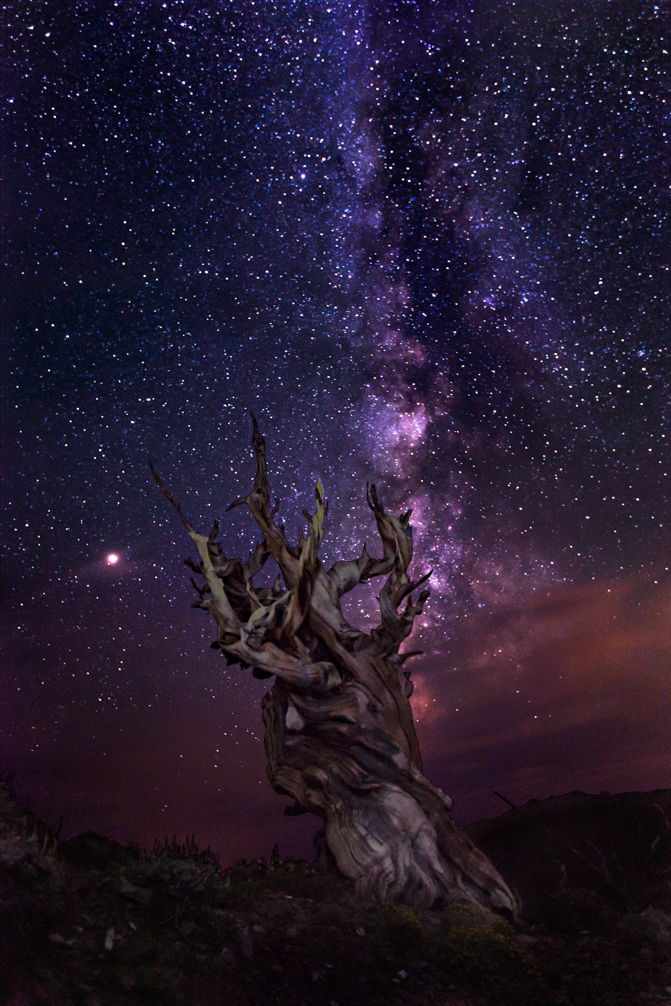 Technical Info: 9 exposures, 25s, f2.8, ISO 100, 23mm, Canon 5Dmii.  Photo by Ming Lo.