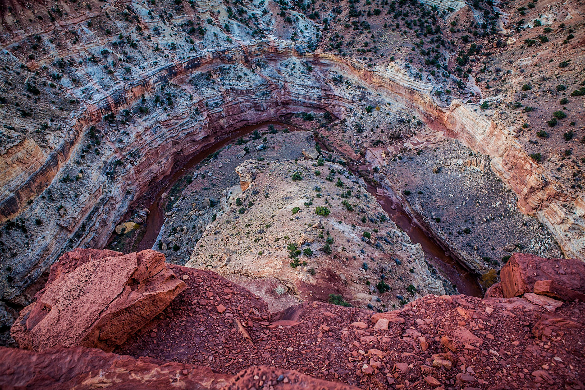 The Goosenecks, Capitol Reef National Park