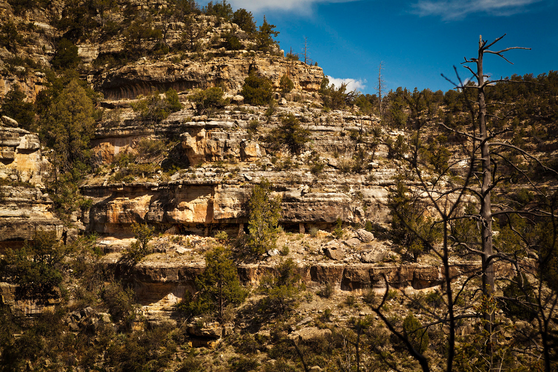 Walnut Canyon National Monument, AZ