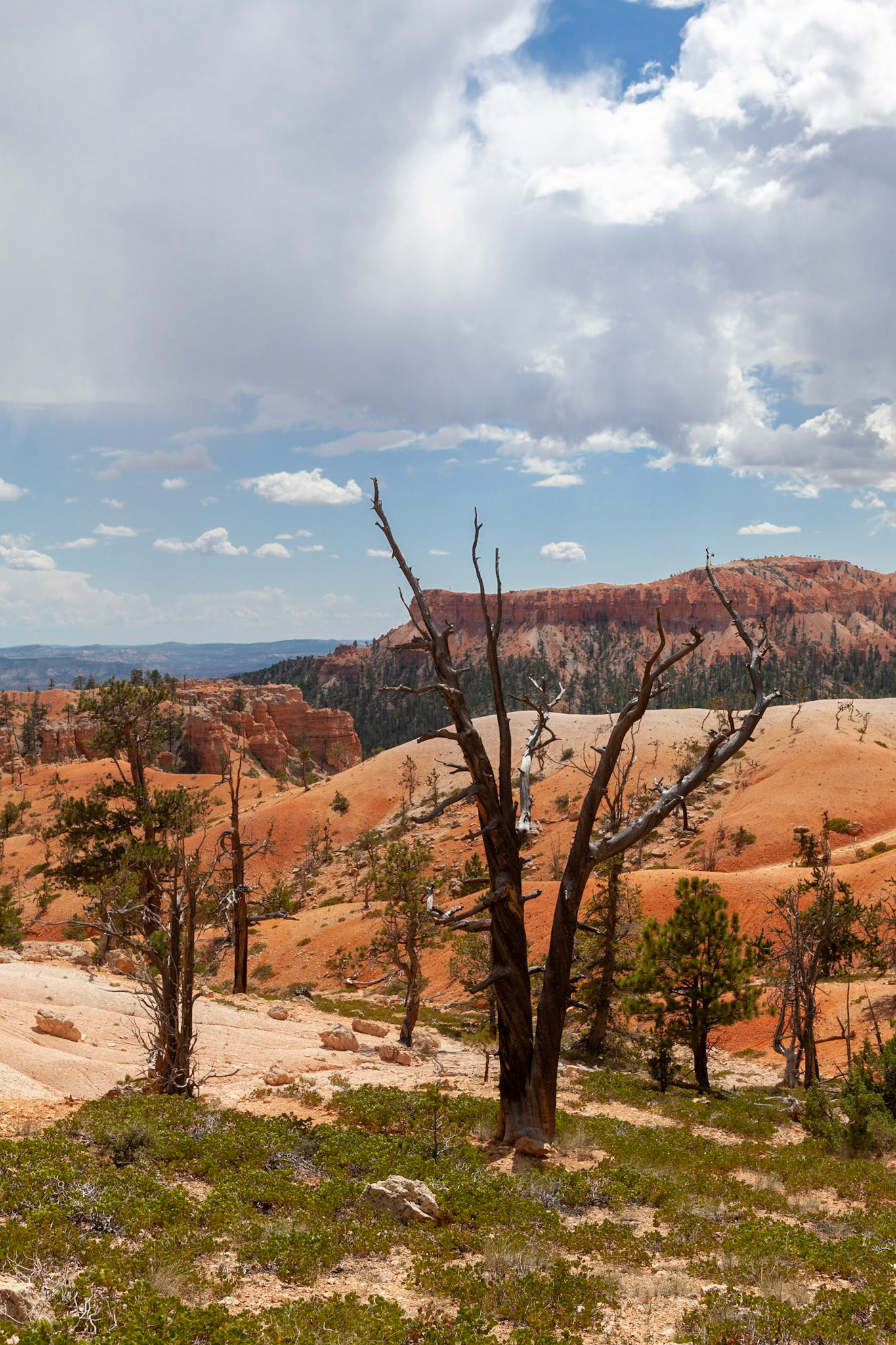 Queen's Garden Trail, Bryce Canyon, Utah