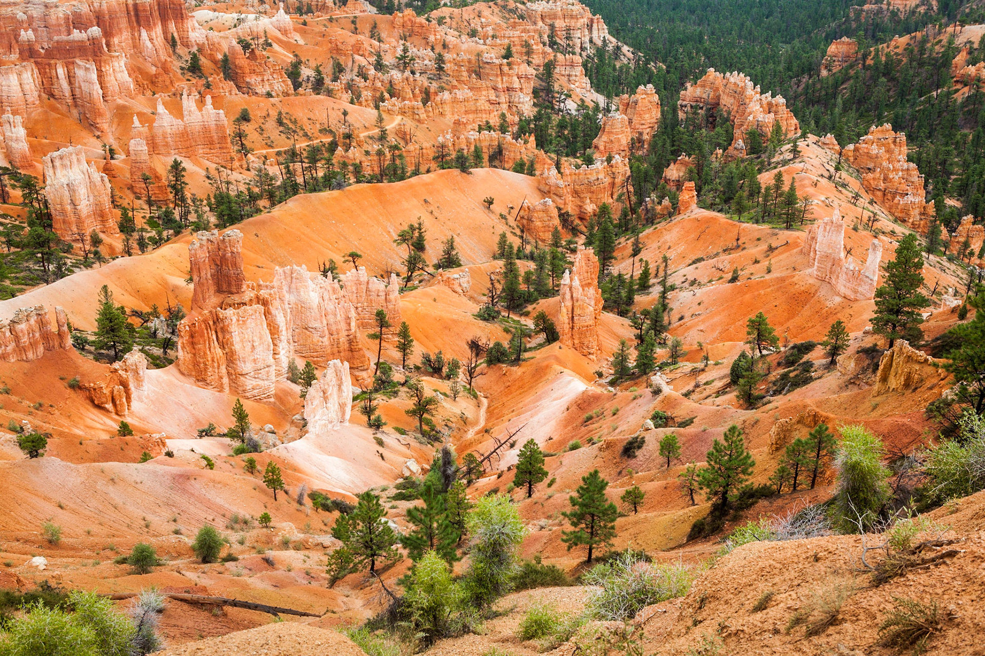 Sunset Point, Bryce Canyon National Park, Utah