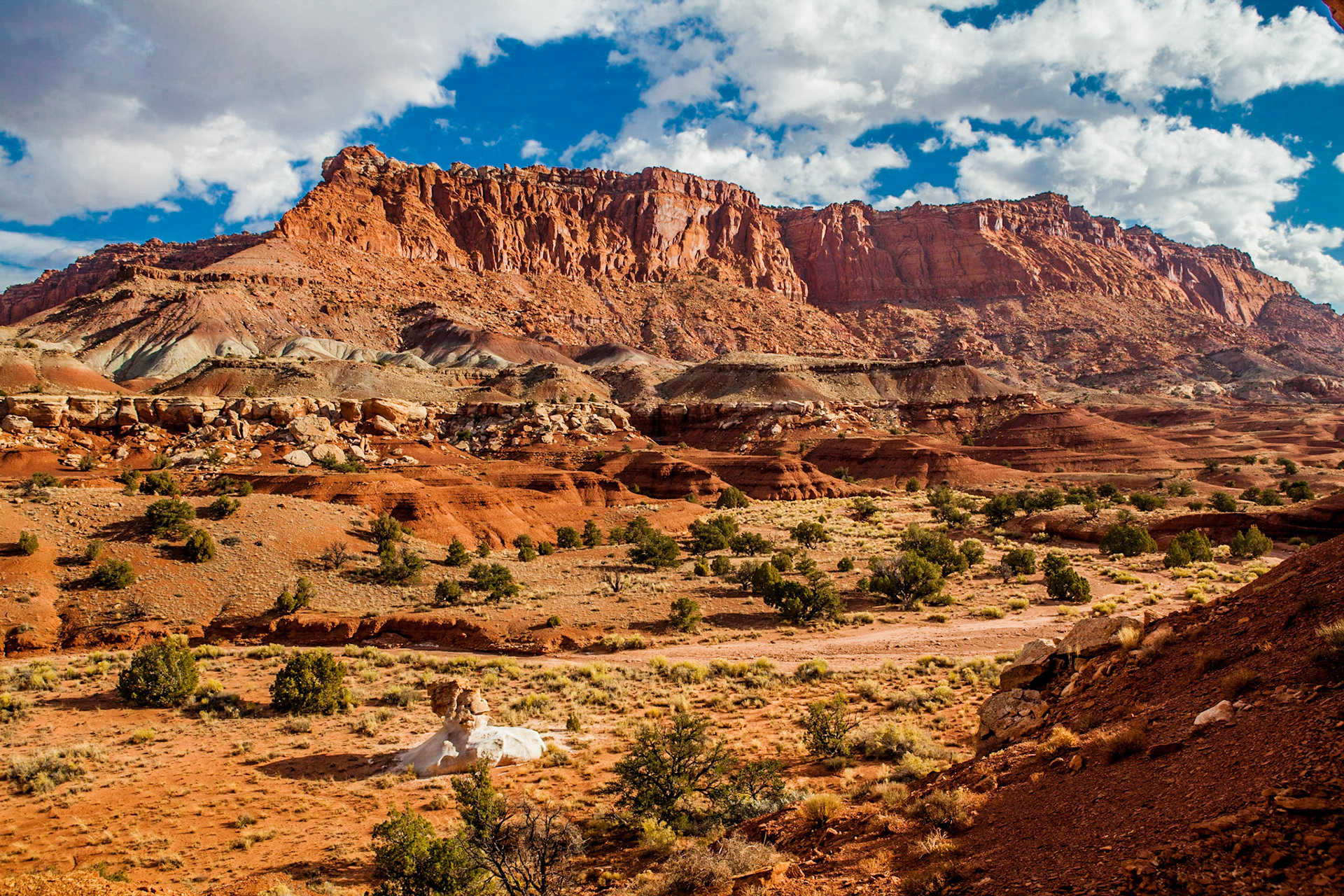 Capitol Reef National Park