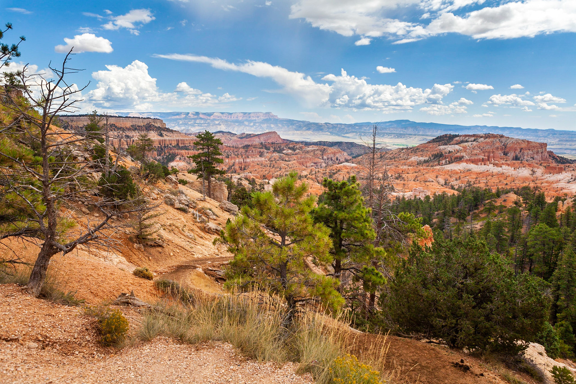 Sunrise Point, Bryce Canyon, Utah