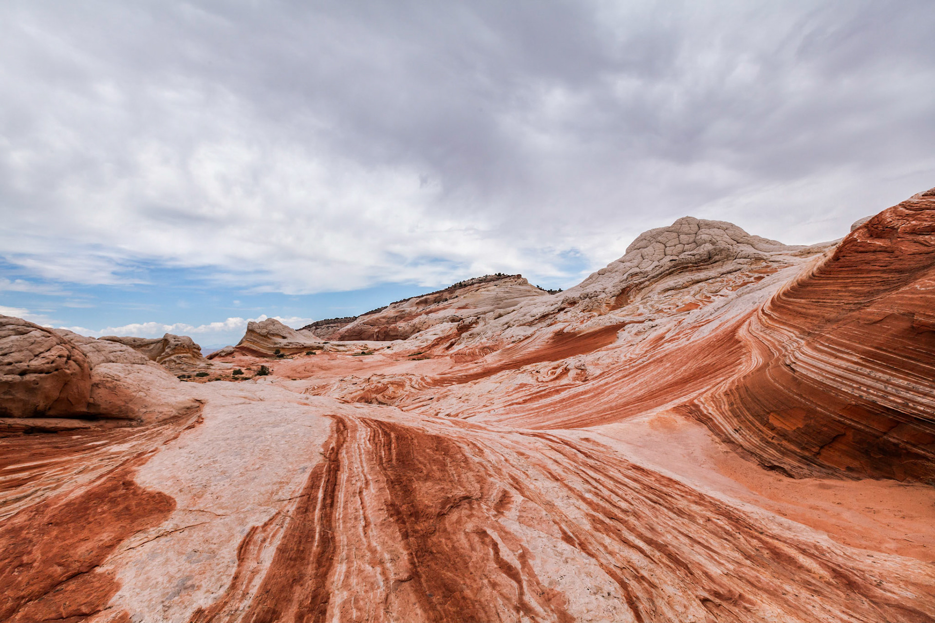Vermillion Cliffs, AZ