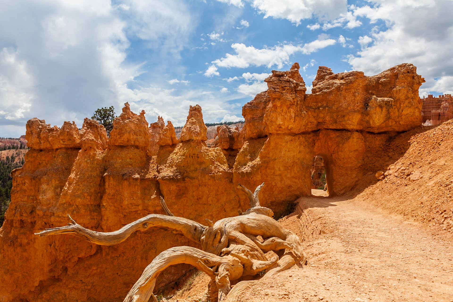 Queen's Garden Trail, Bryce Canyon, Utah