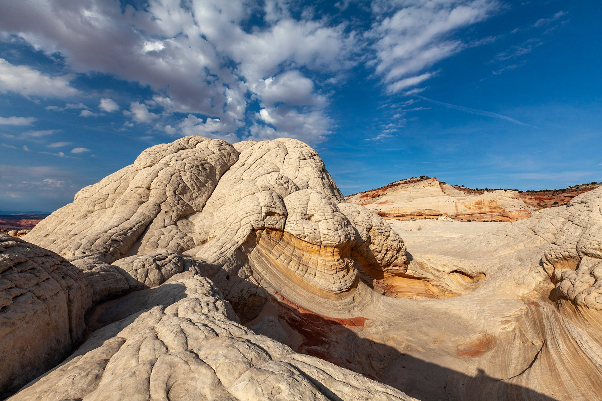 Vermillion Cliffs, AZ