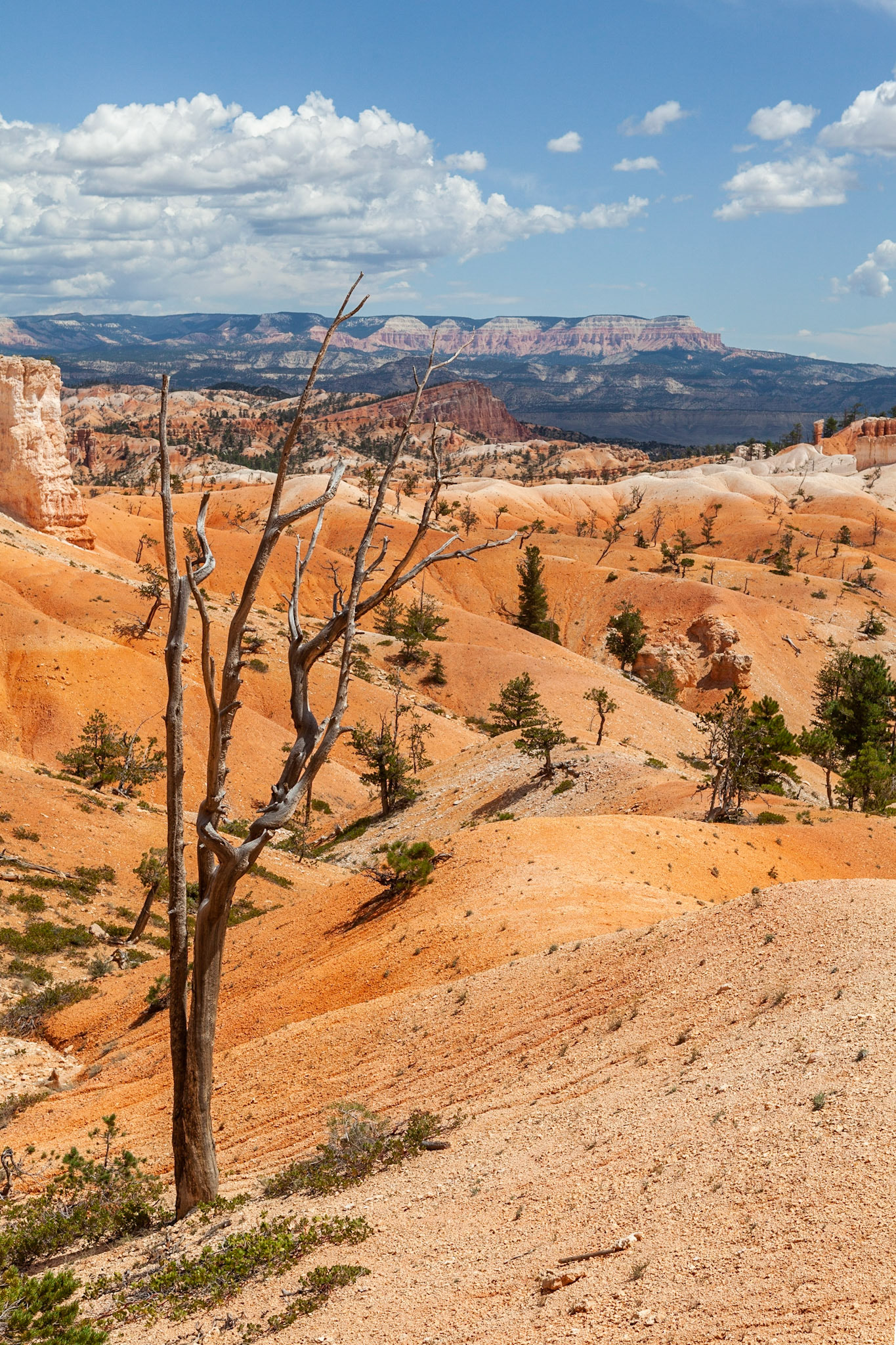 Queen's Garden Trail, Bryce Canyon, Utah