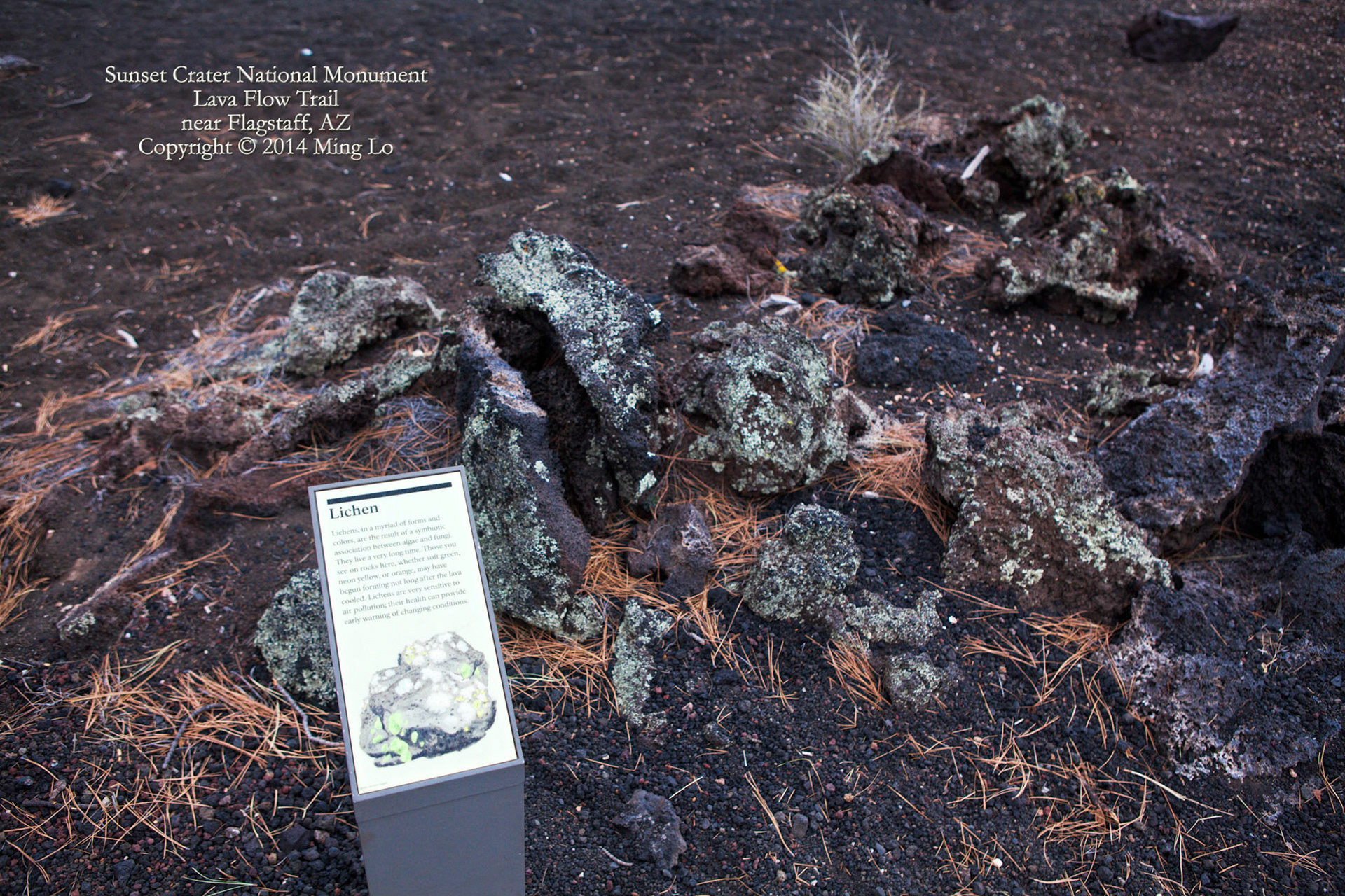 Sunset Crater National Monument, AZ