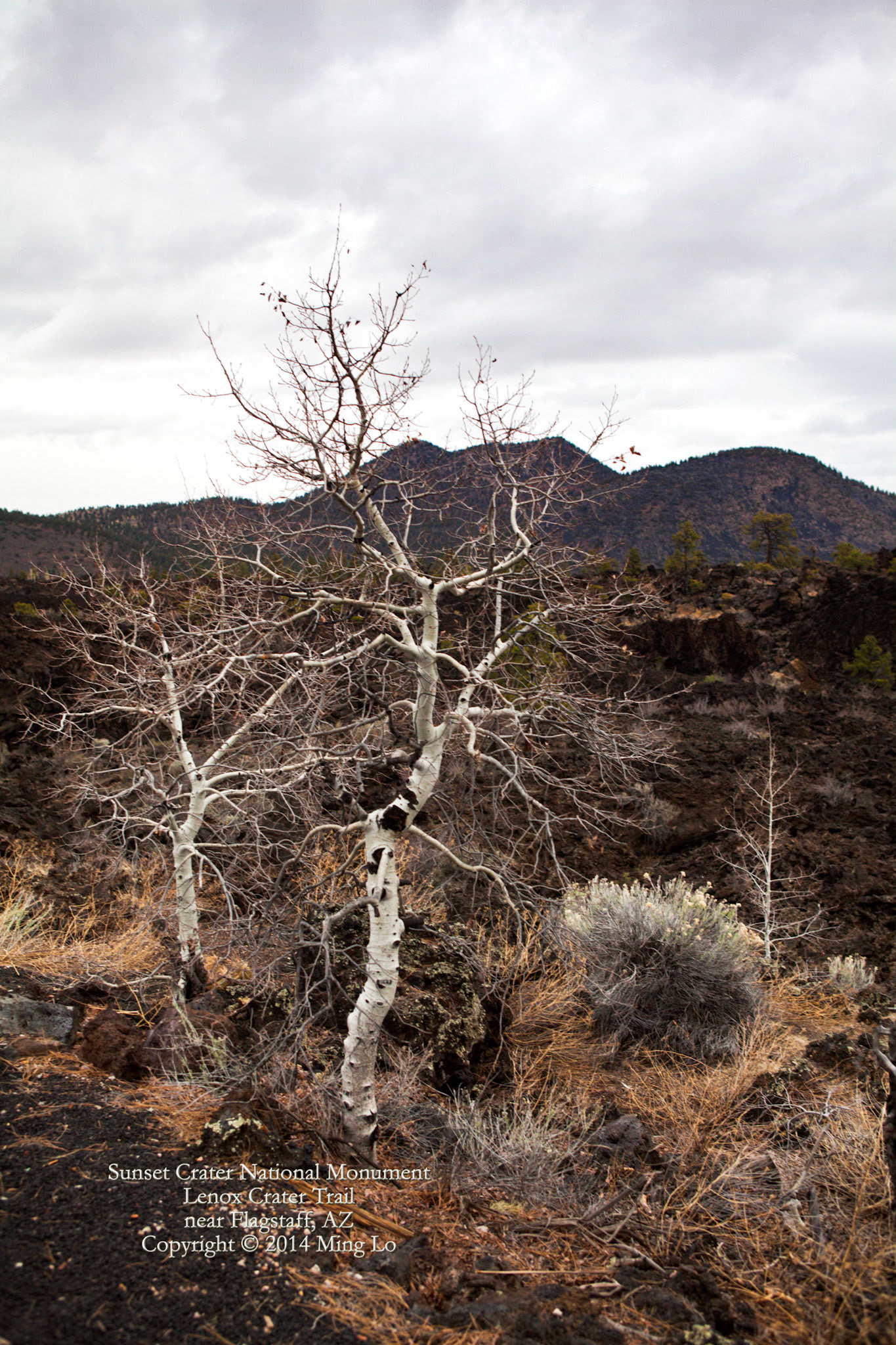 Sunset Crater National Monument, AZ