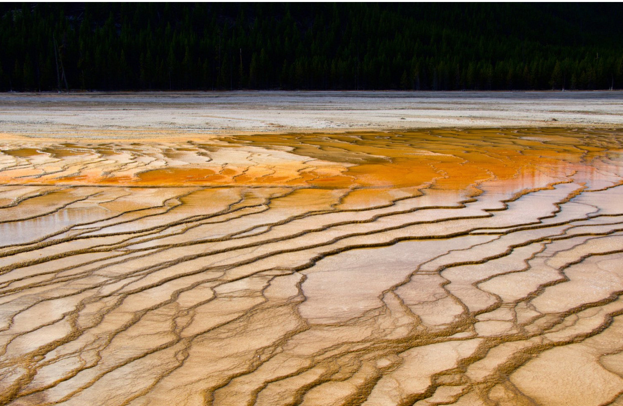 Yellowstone National Park, WY