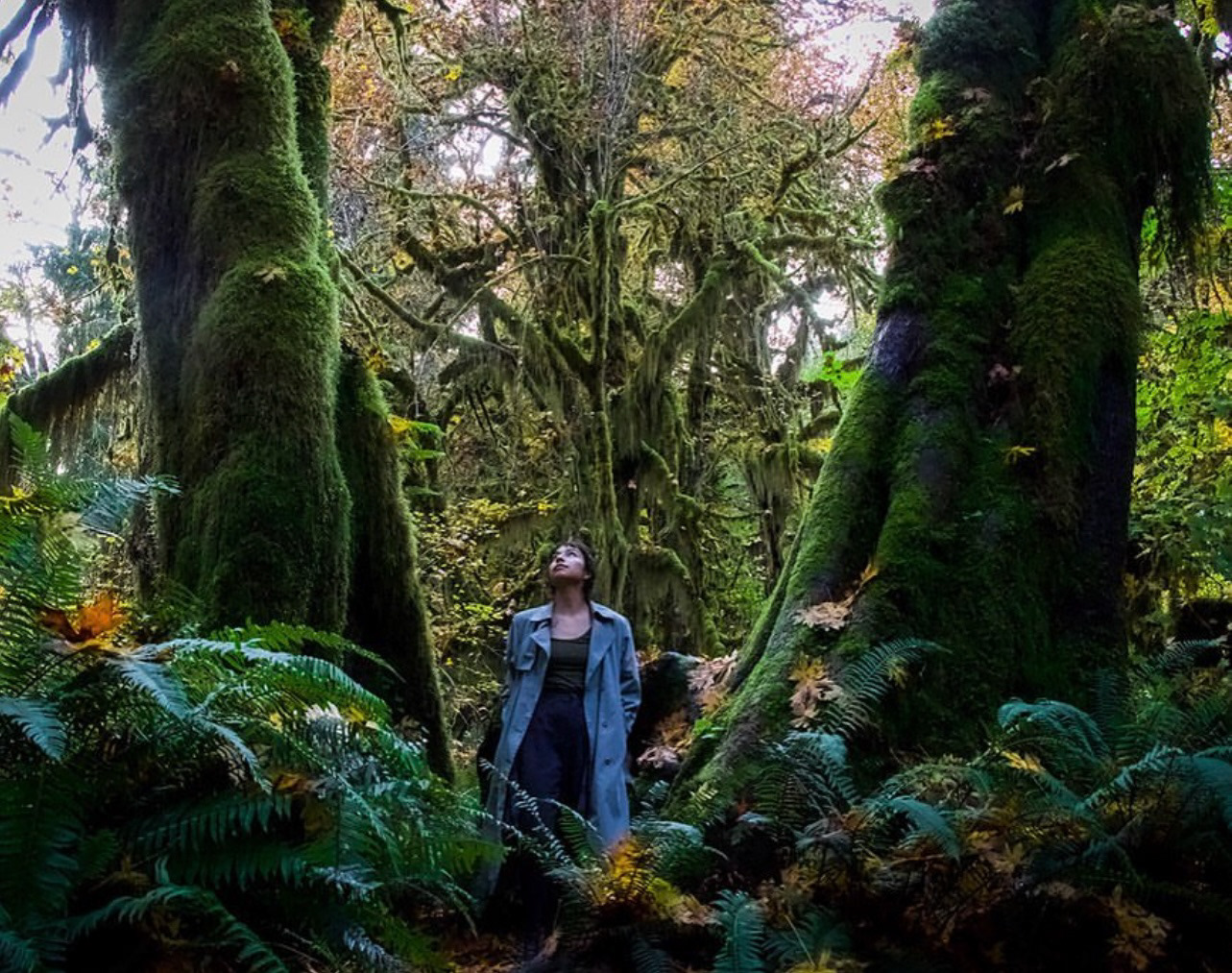 Hall of Mosses | Olympic National Park, WA