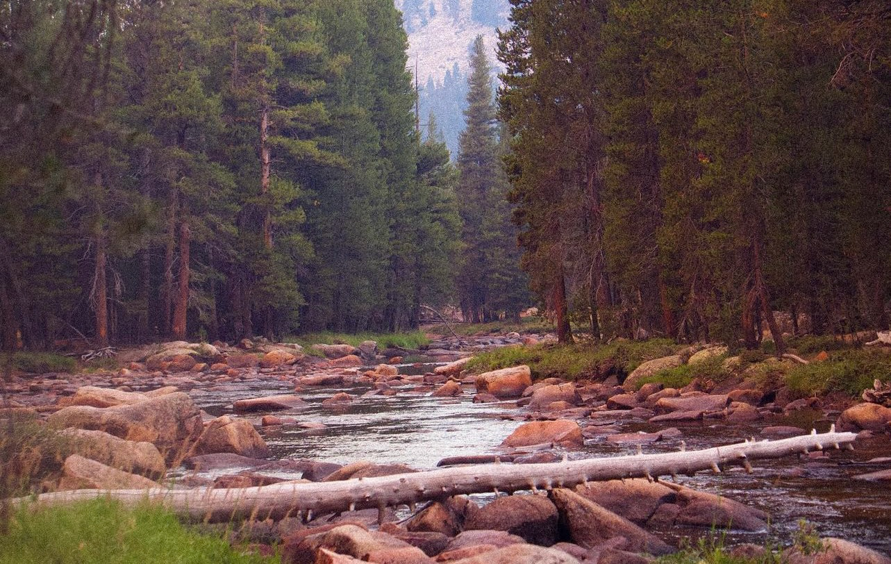 2020 Wildfires at Tuolumne River, Yosemite National Park