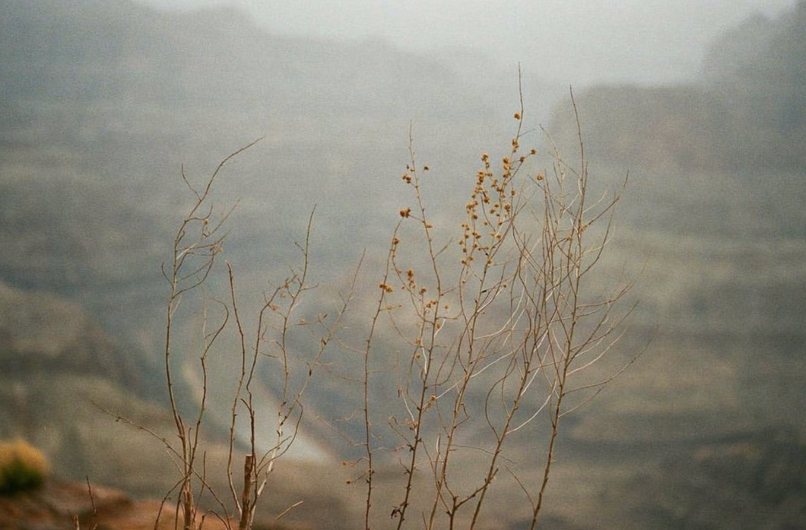 Grand Canyon West, AZ | Film